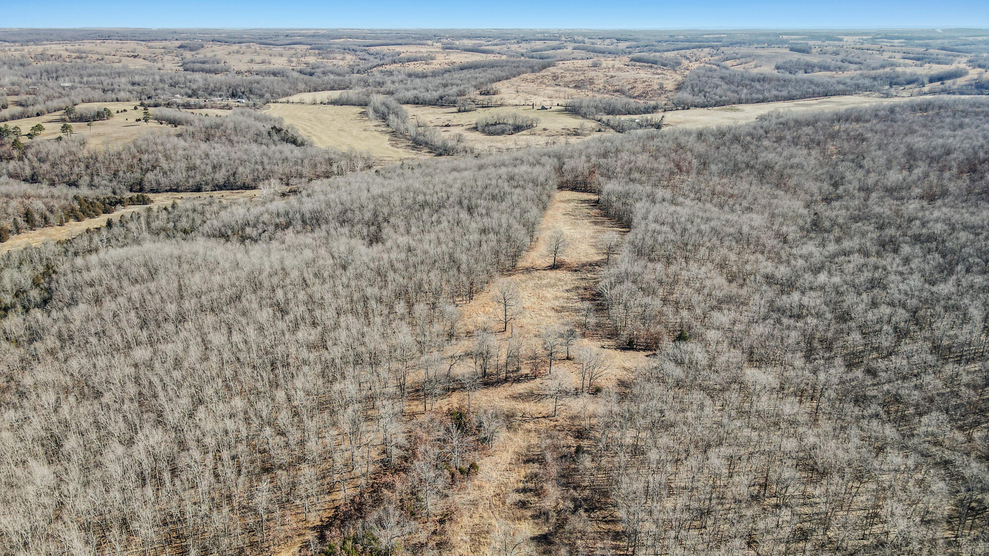 000 County Road 8990