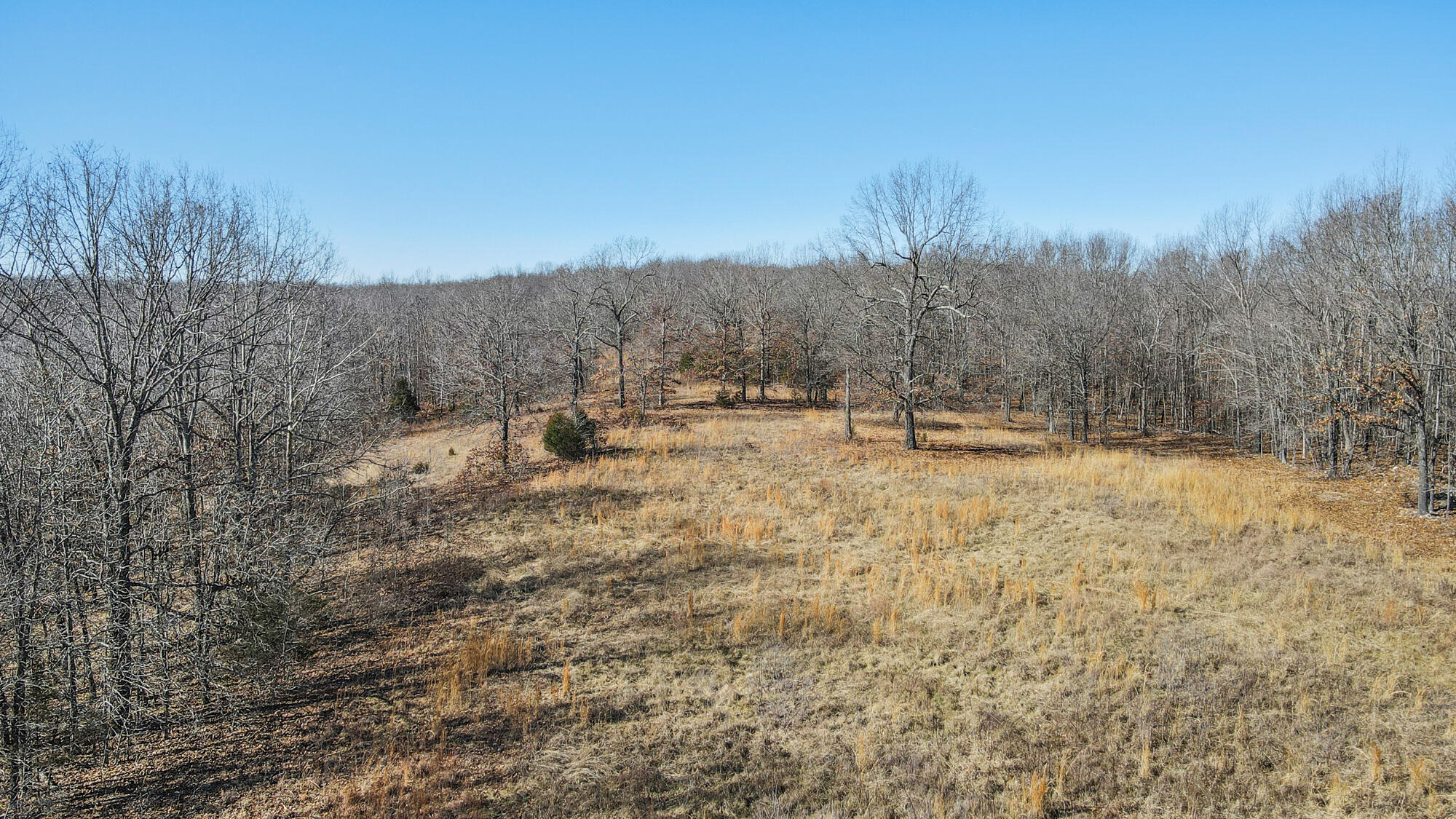 000 County Road 8990