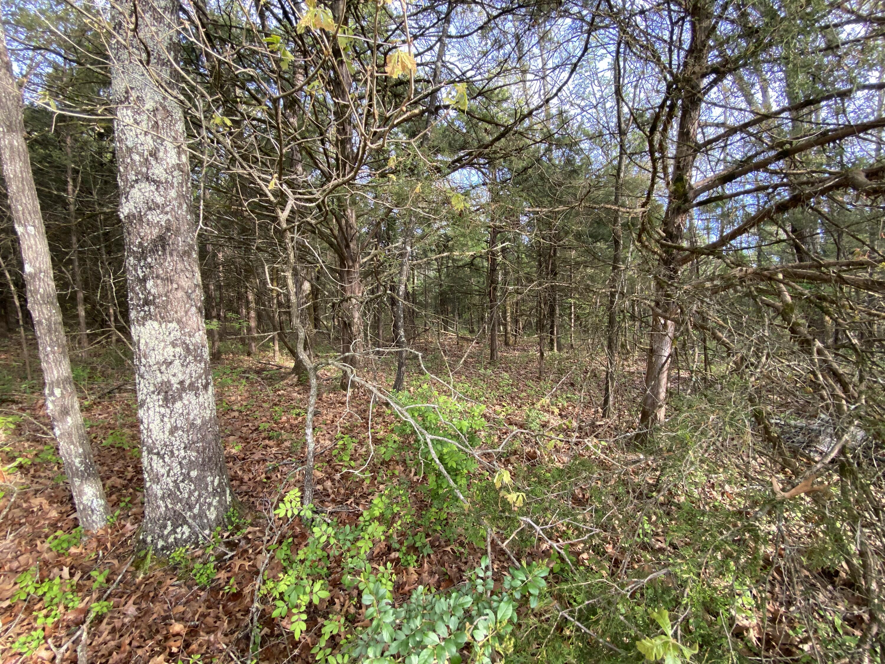 6983 County Road 9900