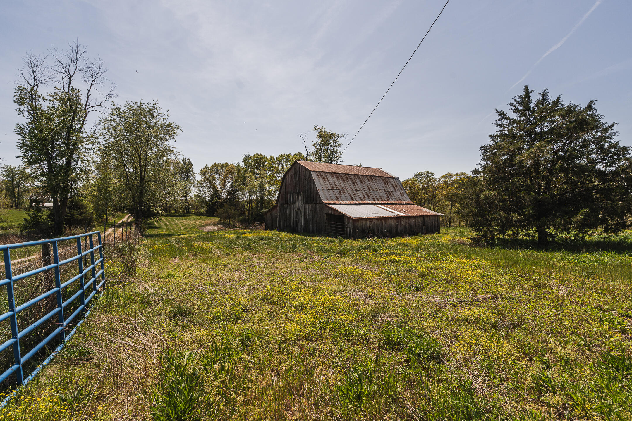 Weathered wooden barn in a grassy field, with a blue metal gate in the foreground.