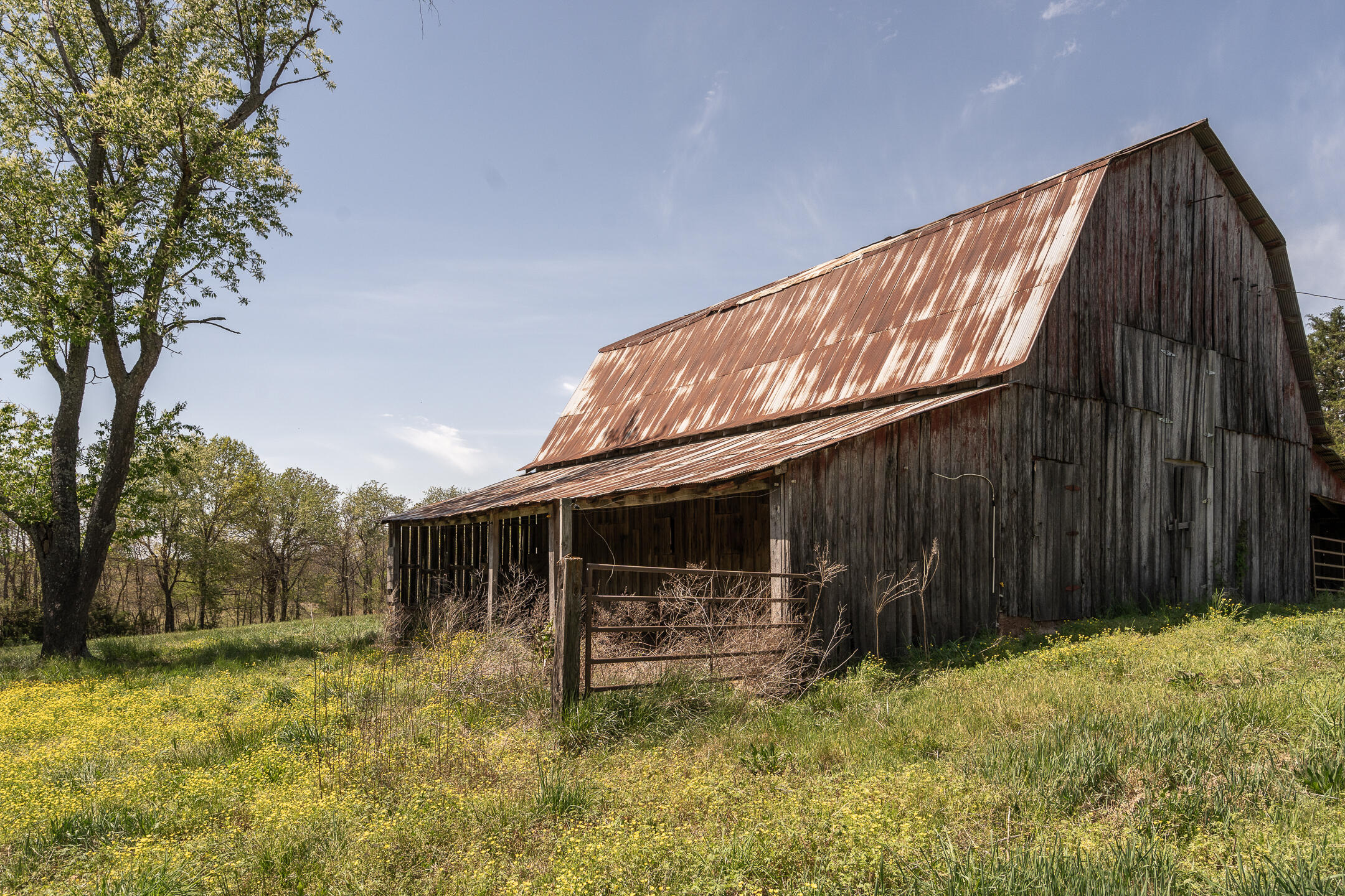 Weathered wooden barn with a rusted metal roof beside a field of yellow wildflowers.