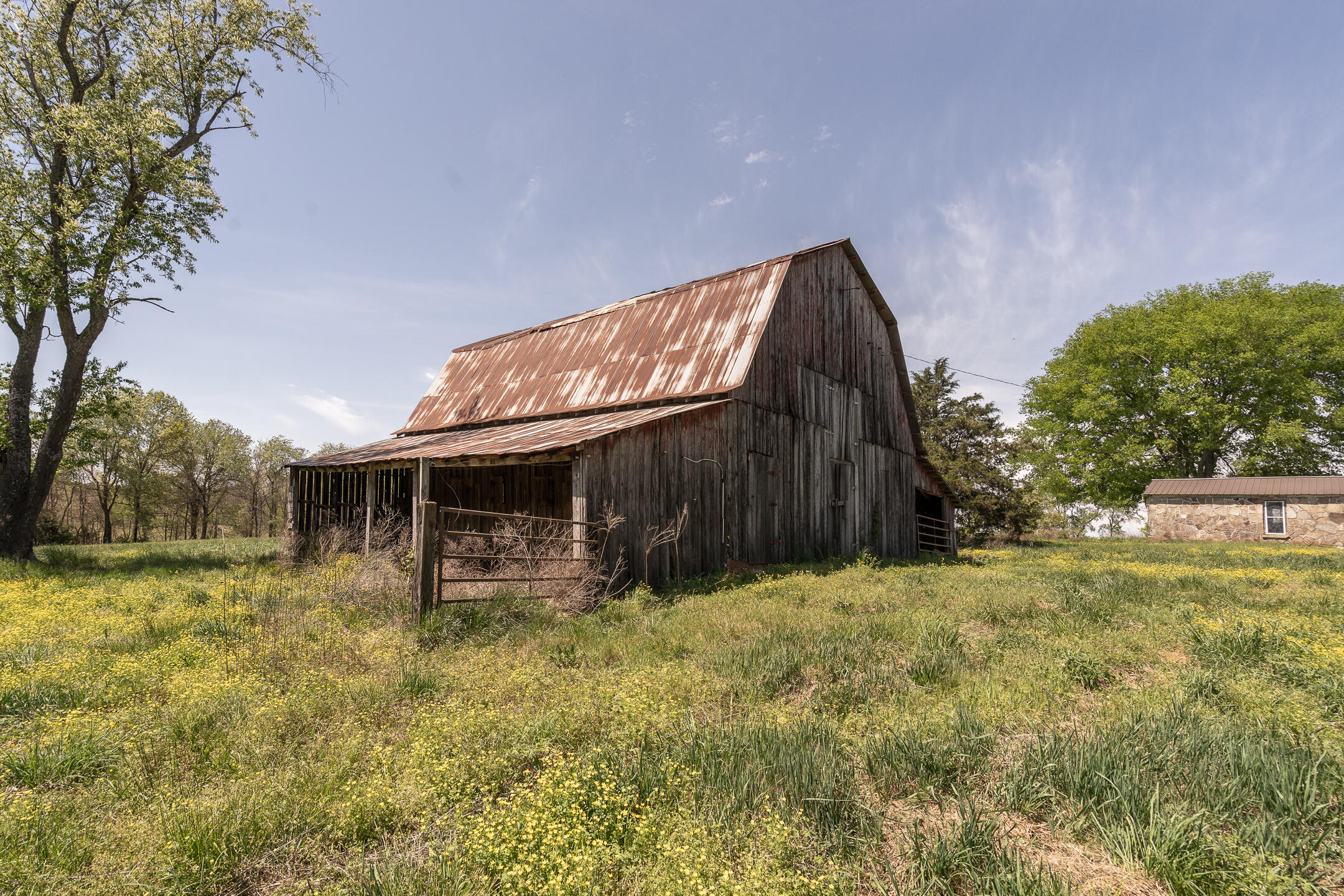 Weathered wooden barn with a rusted metal roof amid yellow wildflowers and trees.