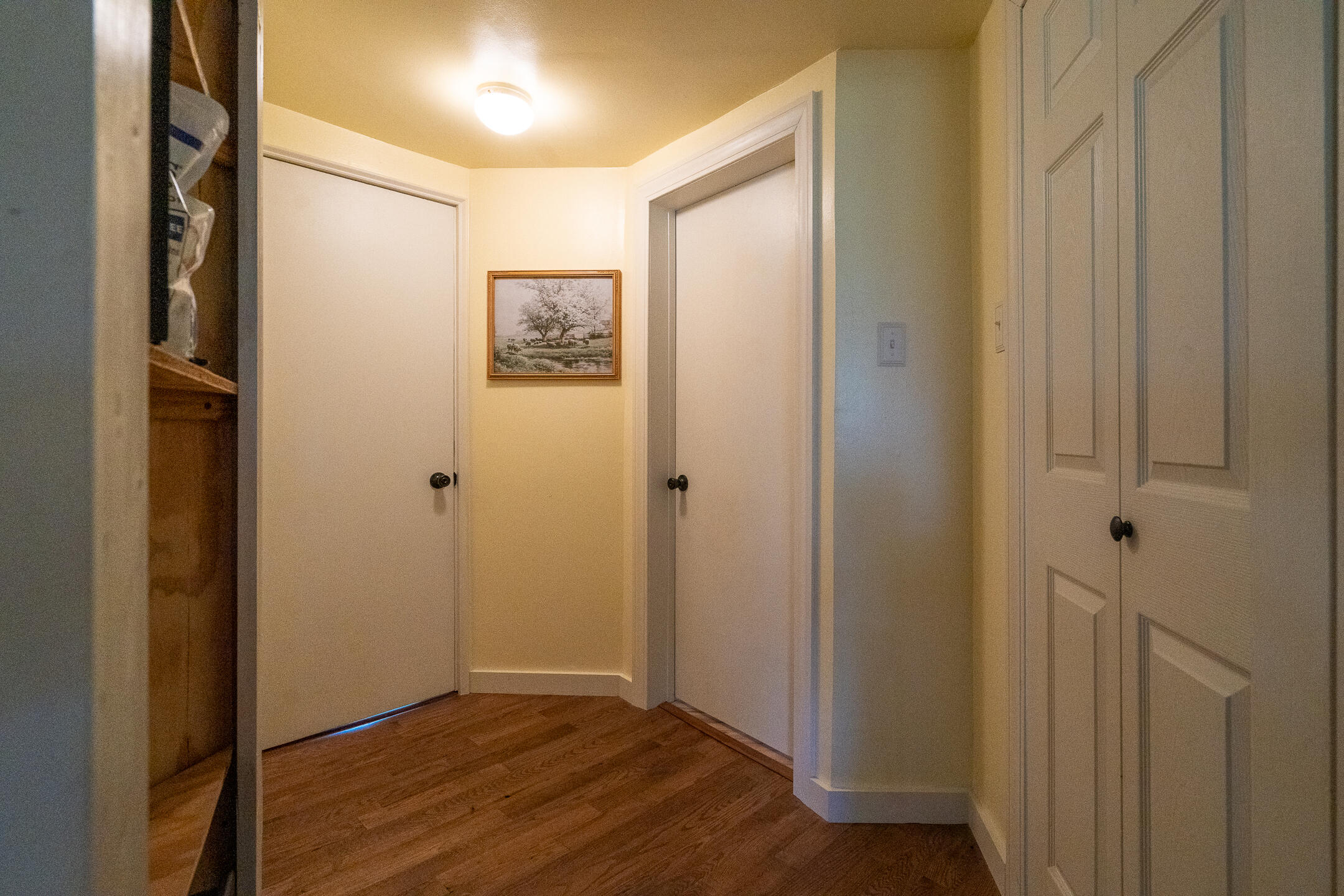 Hallway with wood flooring, white doors, and a framed picture between two doors.