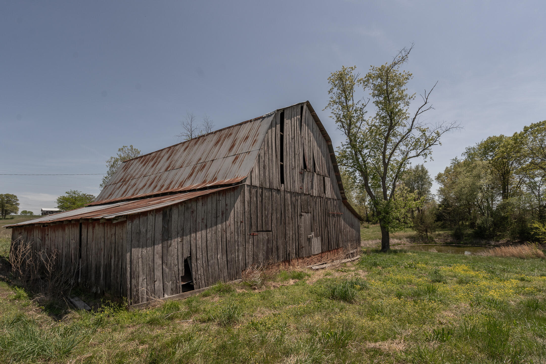Weathered wooden barn with a rusted gambrel roof beside a grassy field and pond.