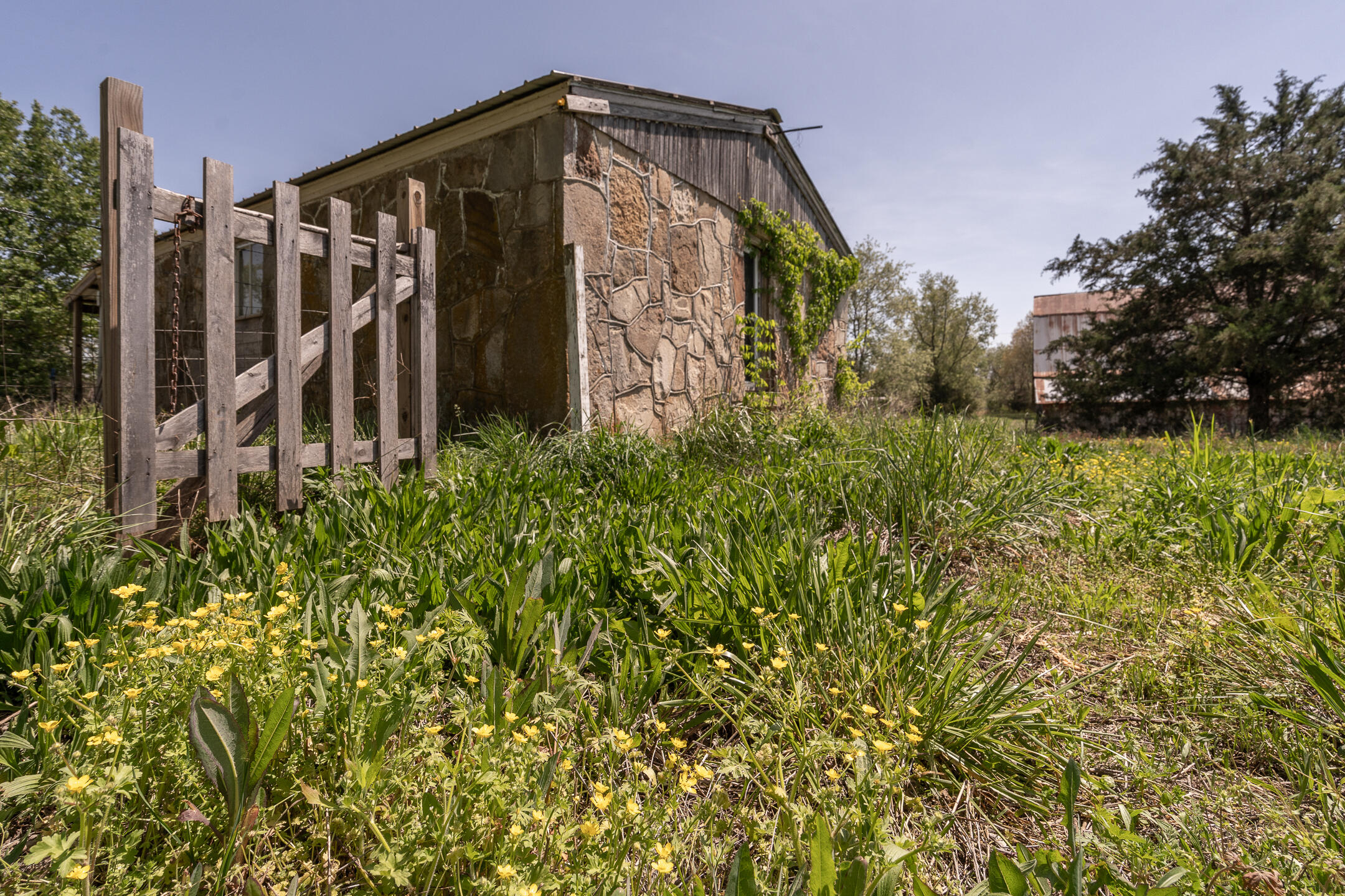 Weathered stone outbuilding behind a wooden gate, surrounded by tall grass and yellow wildflowers.