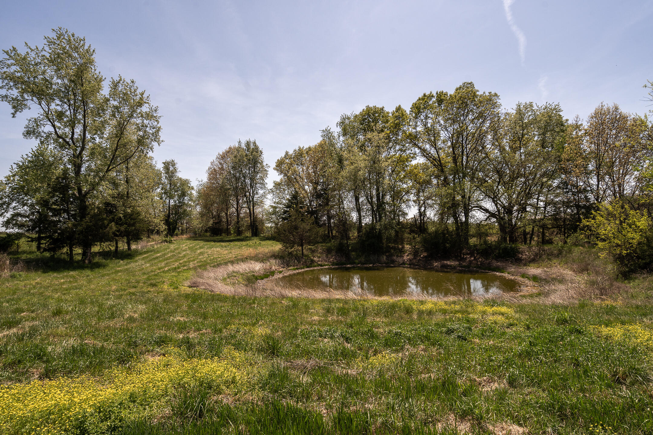Rural acreage with a small pond, mature trees, and yellow wildflowers.