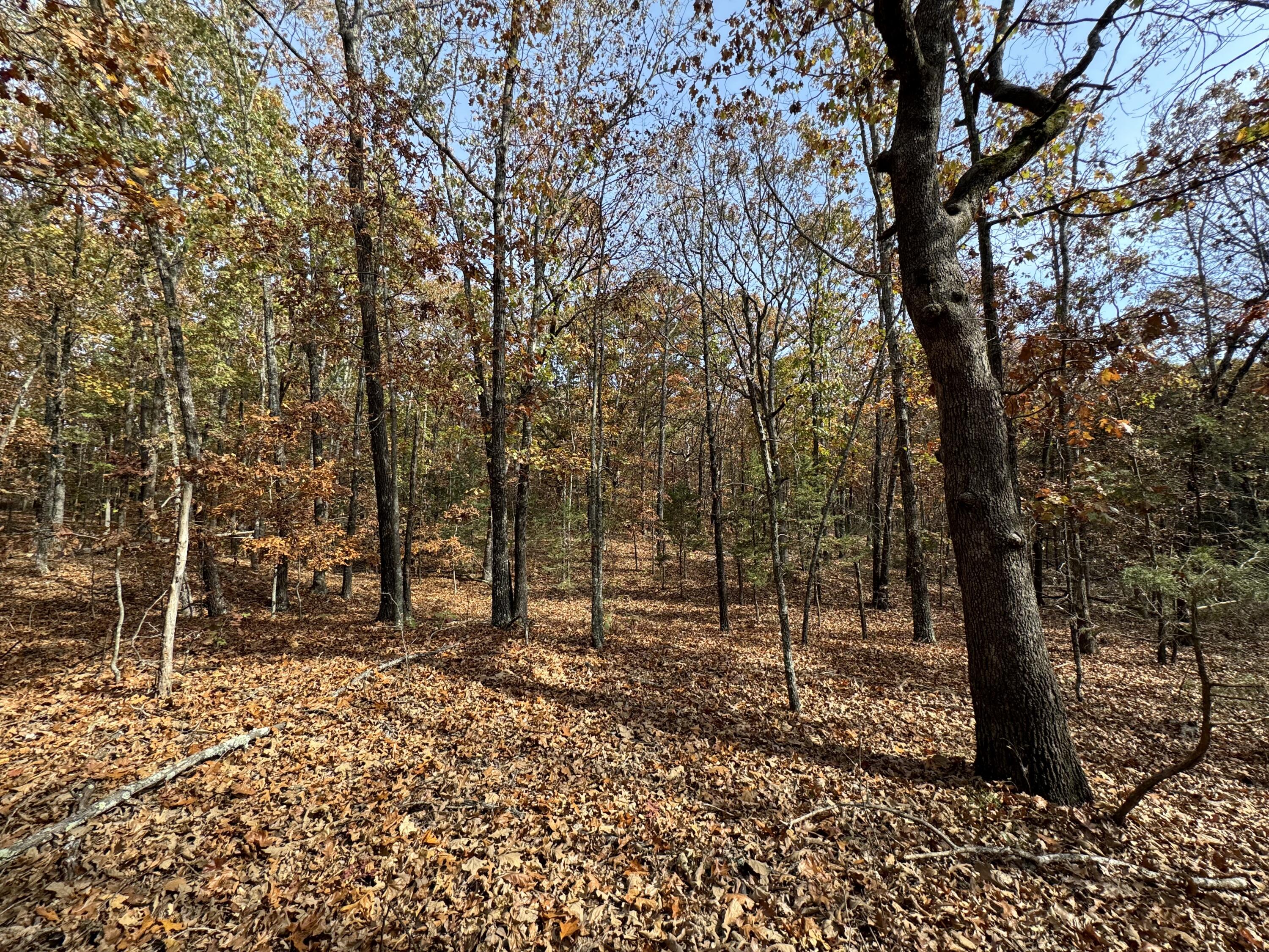 000 County Road 8040