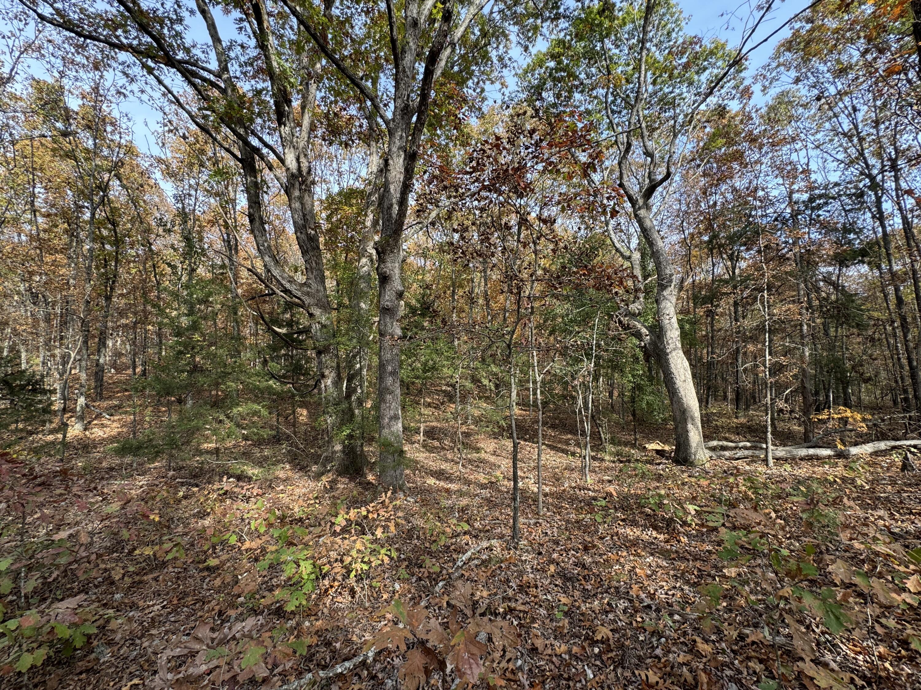 000 County Road 8040