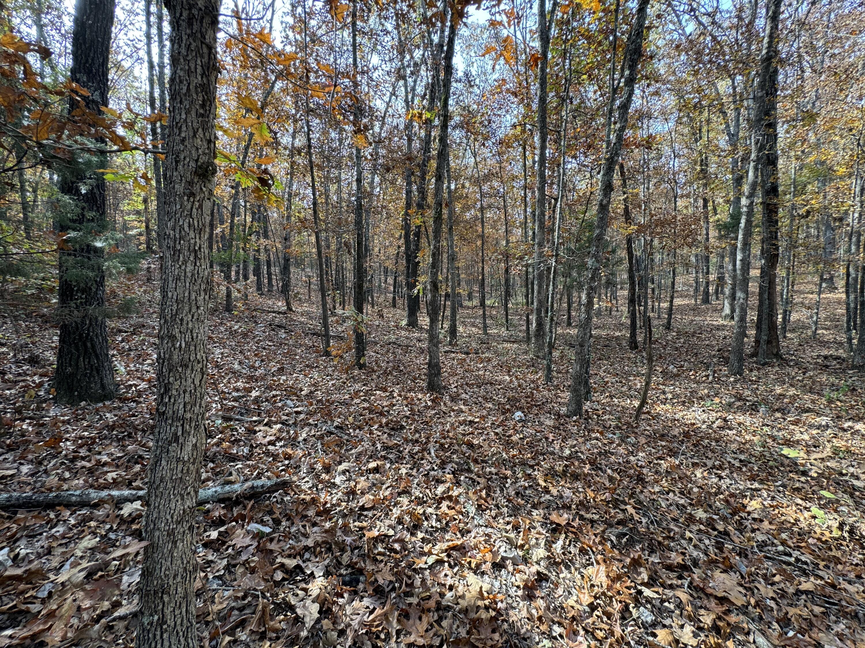 000 County Road 8040