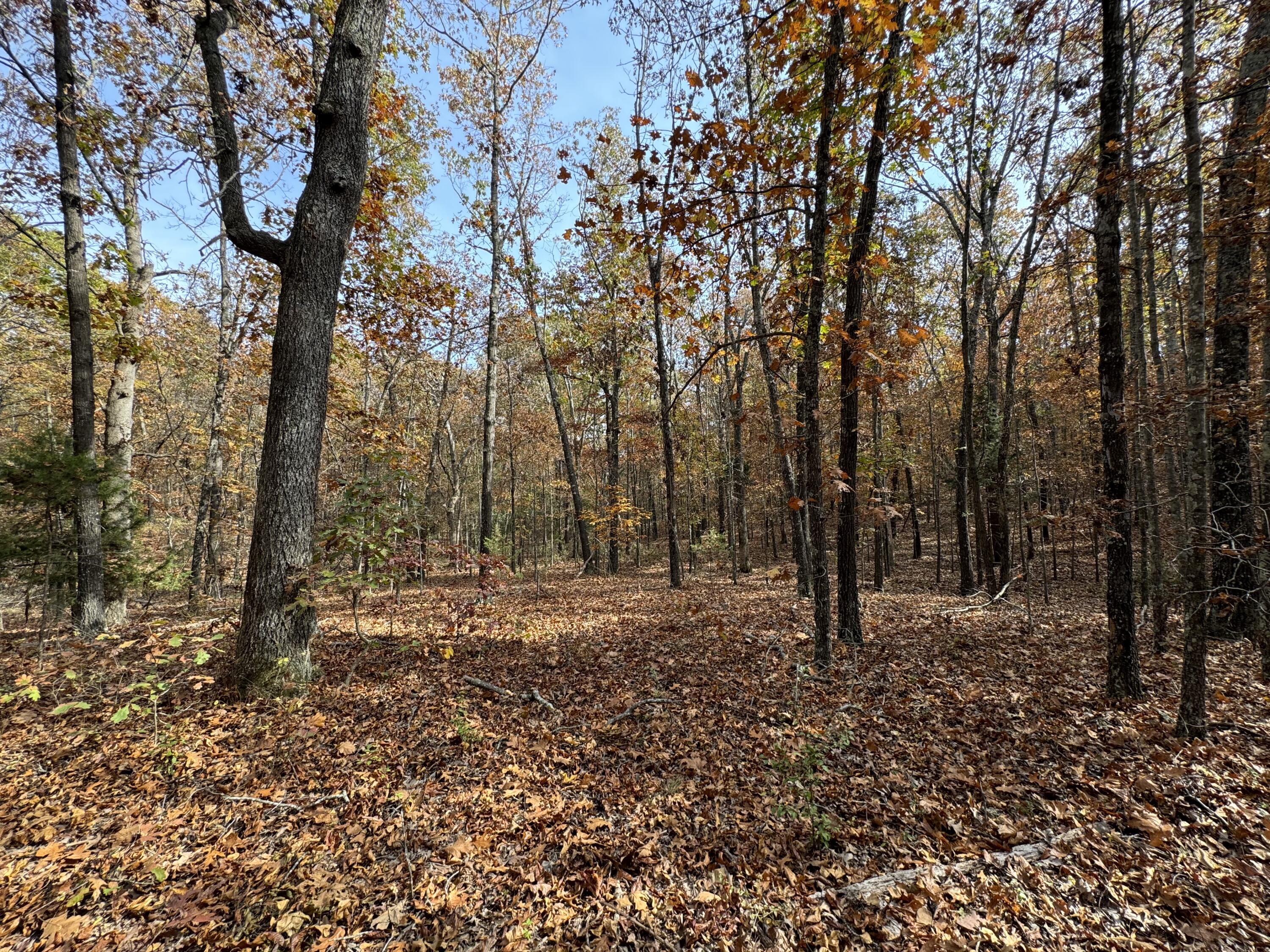 000 County Road 8040