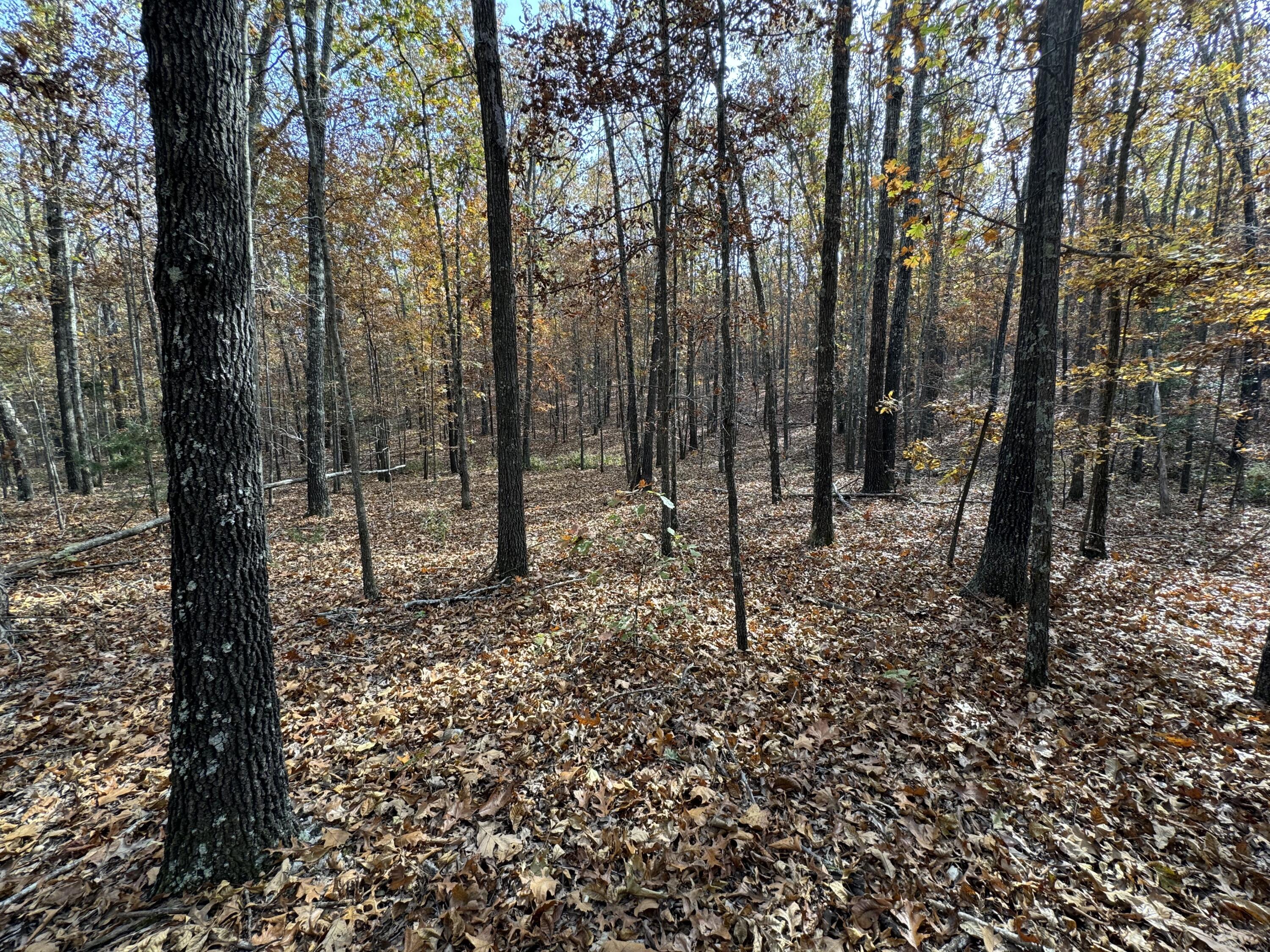 000 County Road 8040