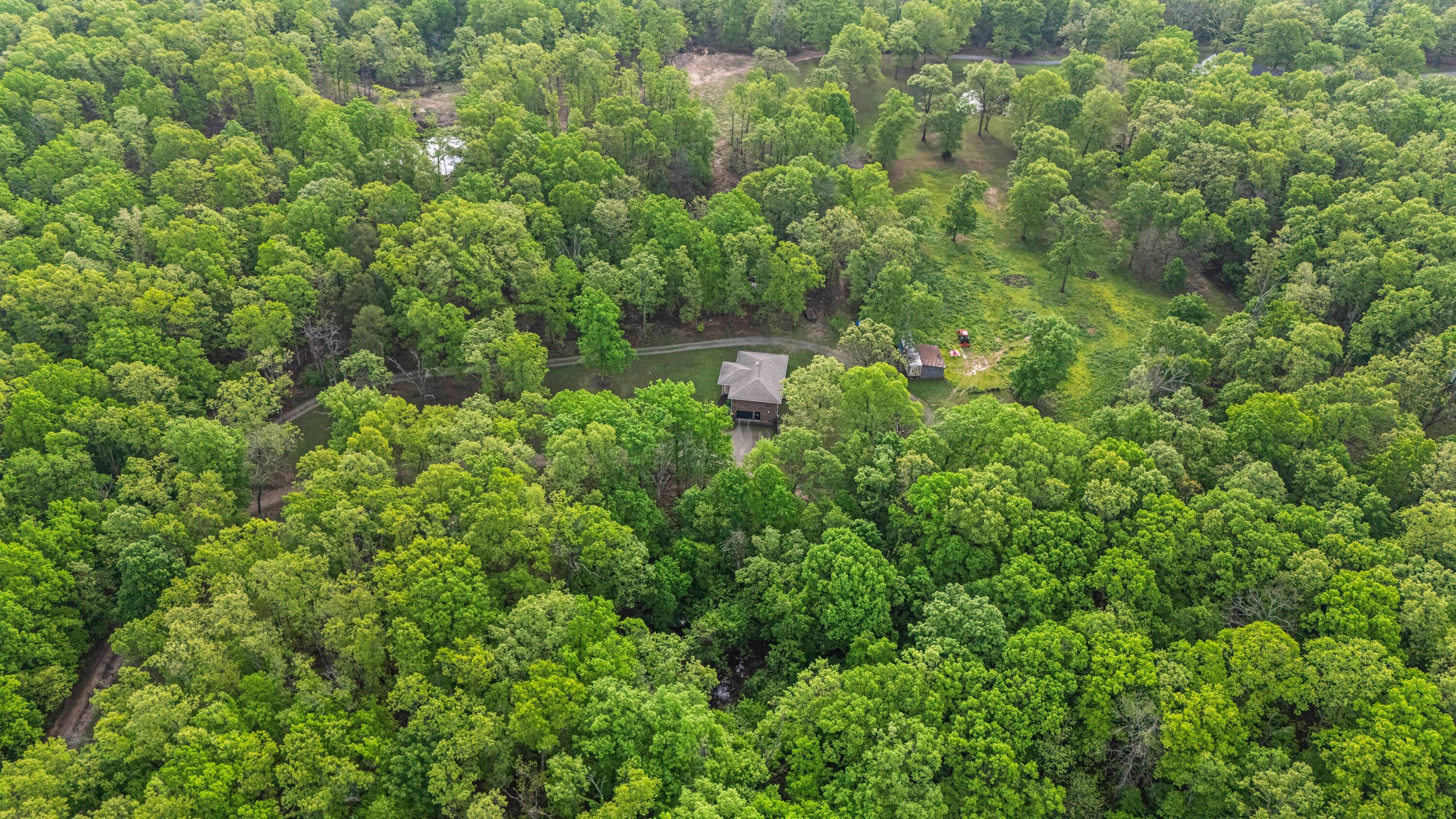 10000 County Road 6550