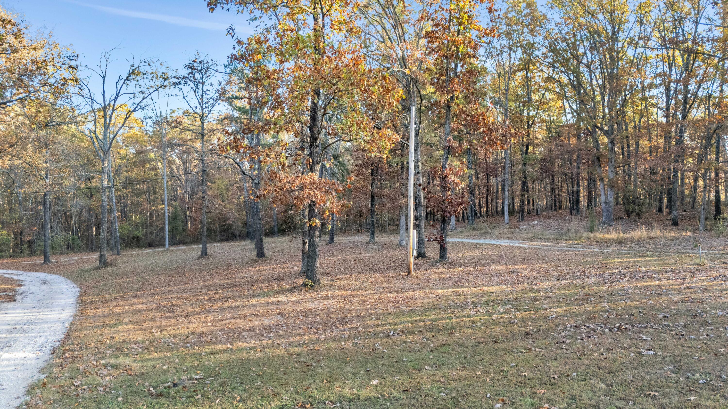 10000 County Road 6550