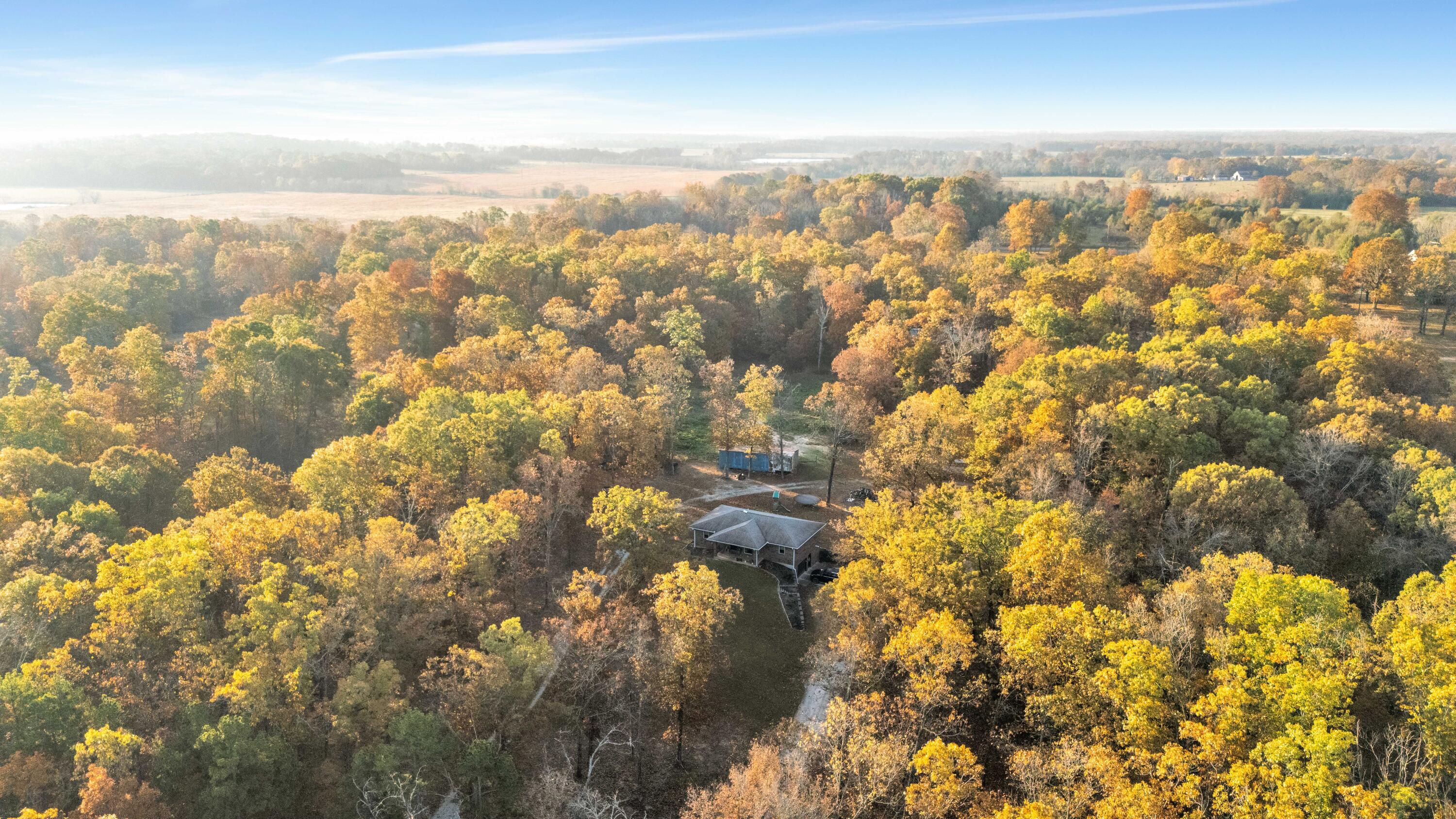 10000 County Road 6550