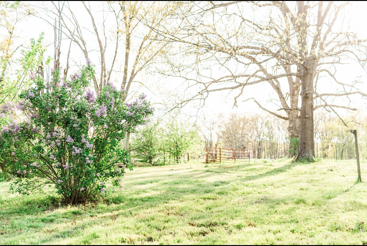 5035 County Road 4690