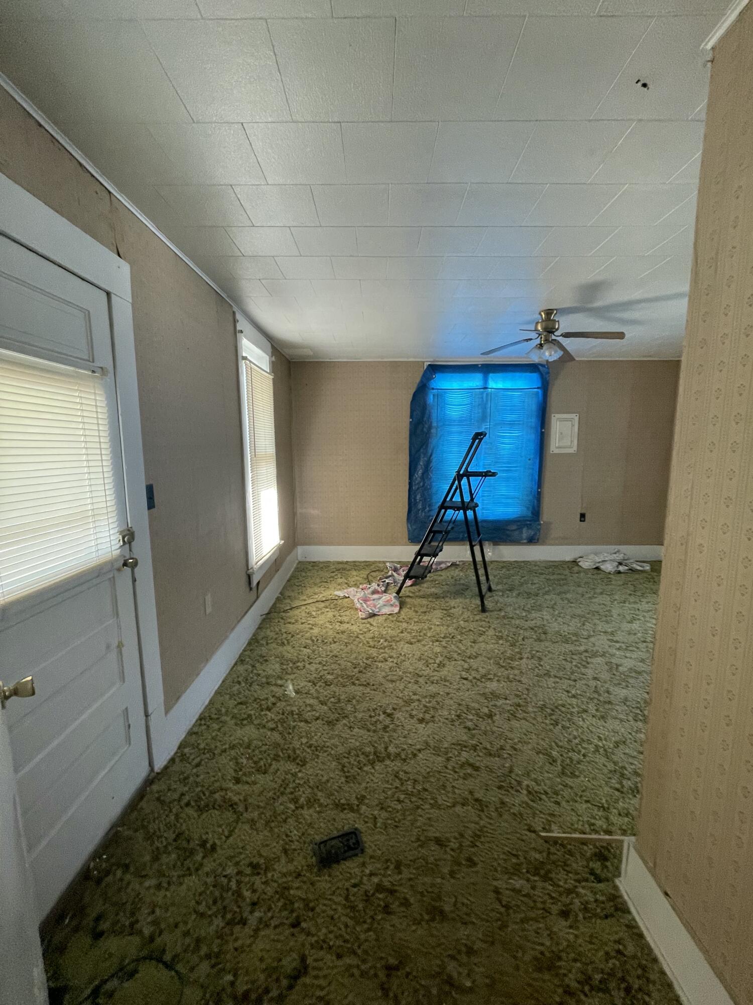 Empty carpeted room with a ceiling fan, covered windows, and a step ladder.