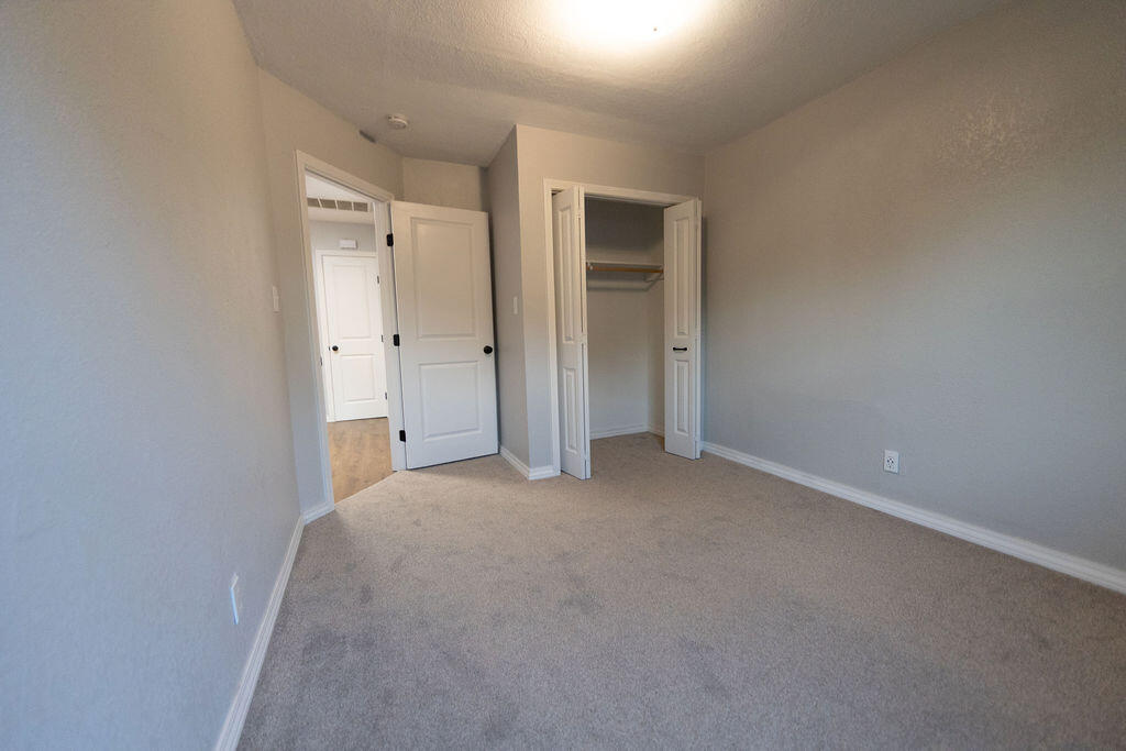 Empty bedroom with beige carpet, gray walls, and an open closet