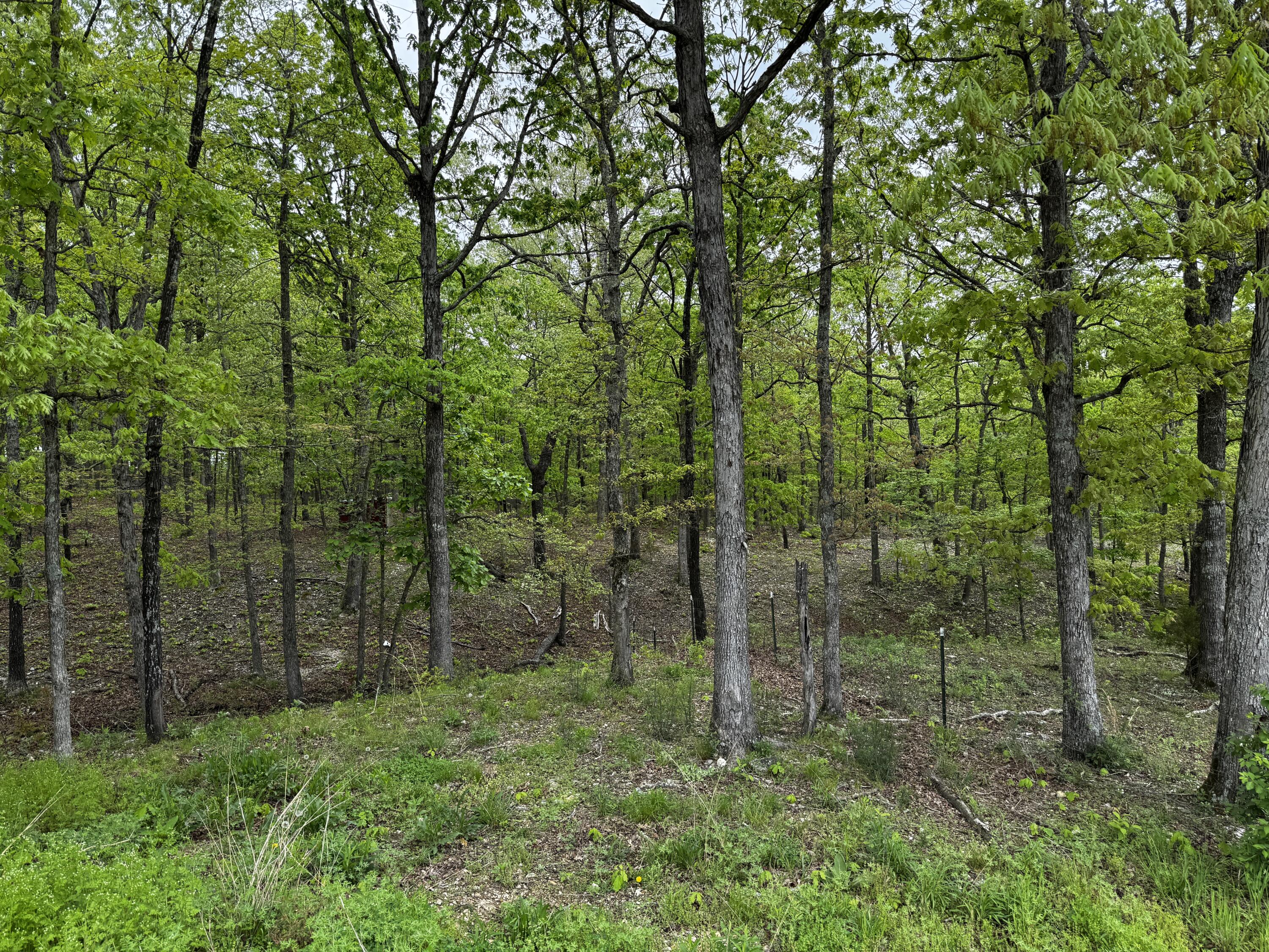 2864 State Highway 14