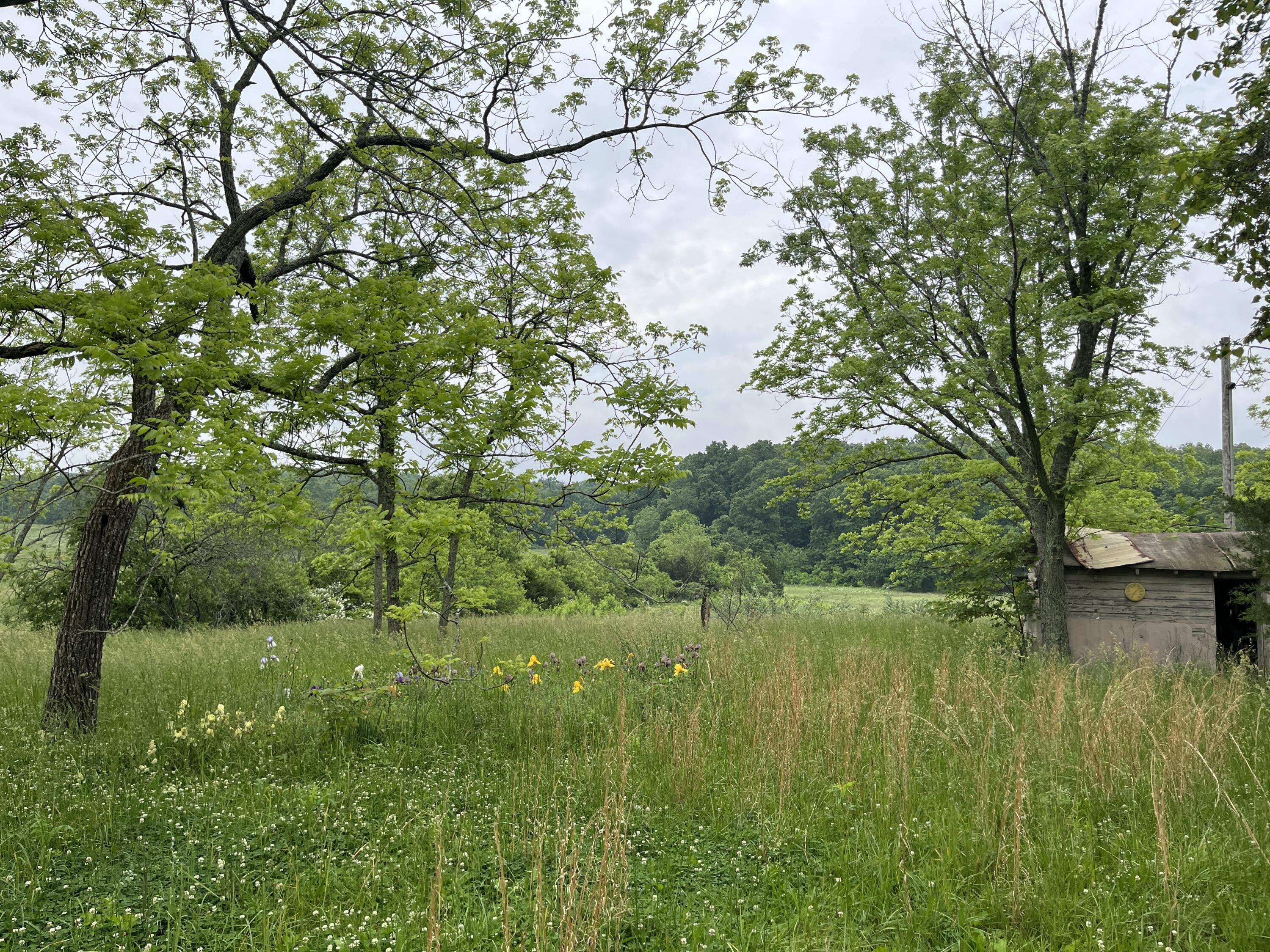 3604 County Road 4990
