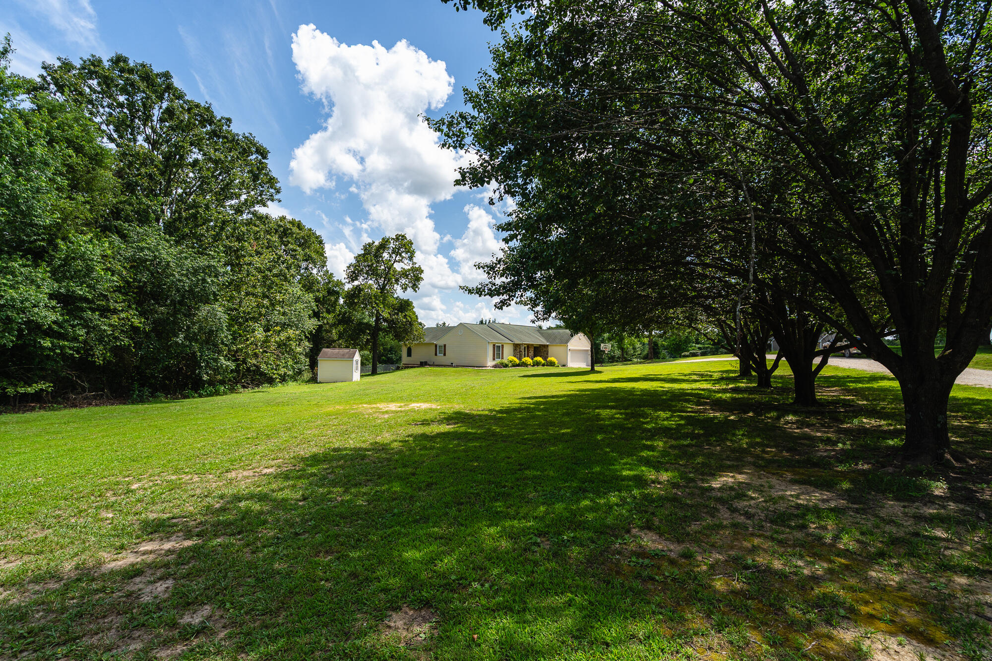 Single-story home beyond a broad lawn, framed by mature trees, with a small detached shed.