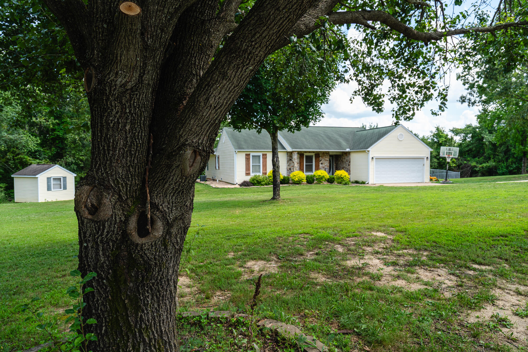 Single-story home with stone accents and attached garage behind a large foreground tree, with a lawn and detached shed.