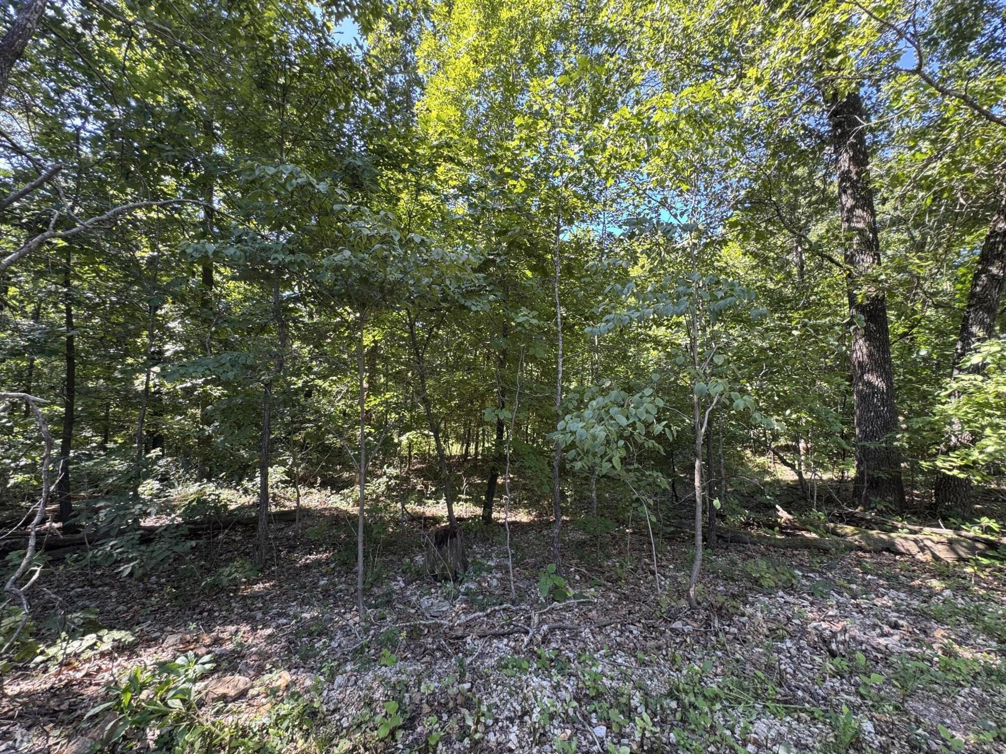 000 County Road 7550