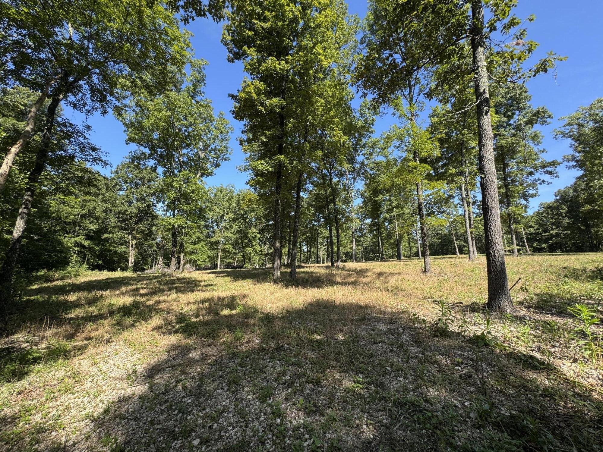 000 County Road 7550