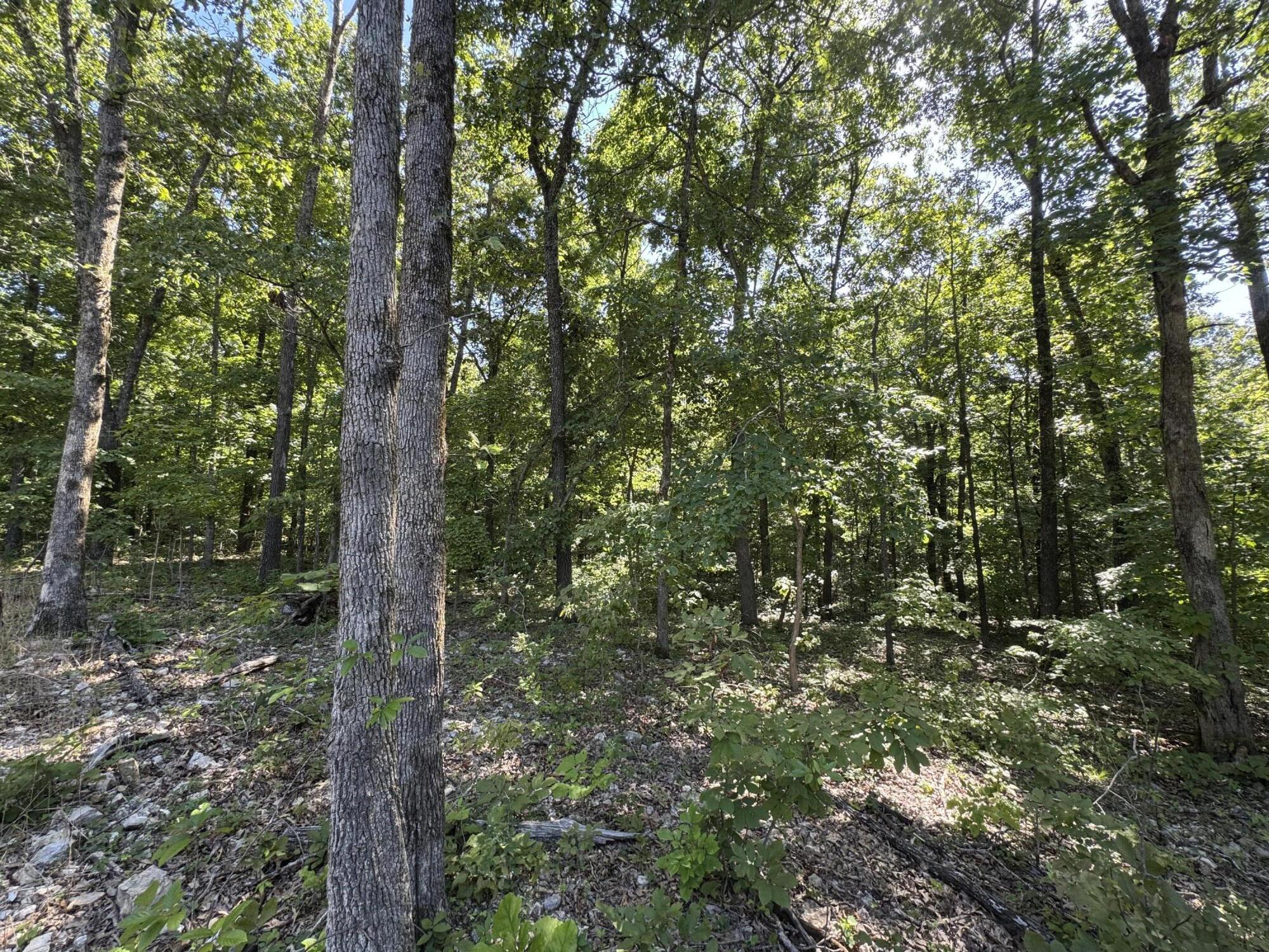 000 County Road 7550