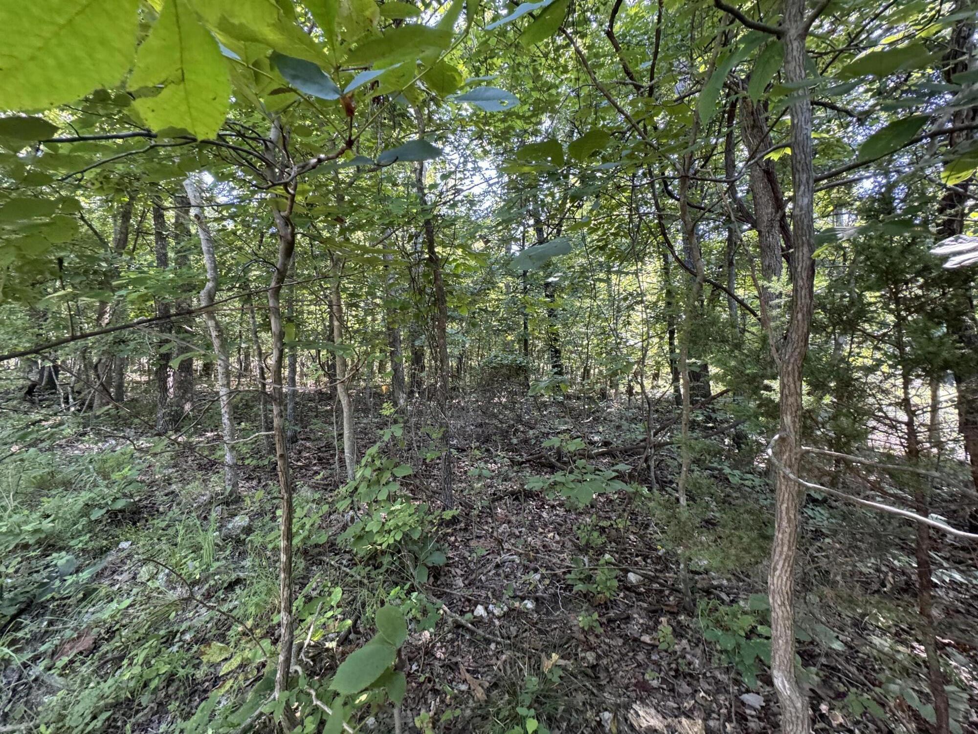 000 County Road 7550