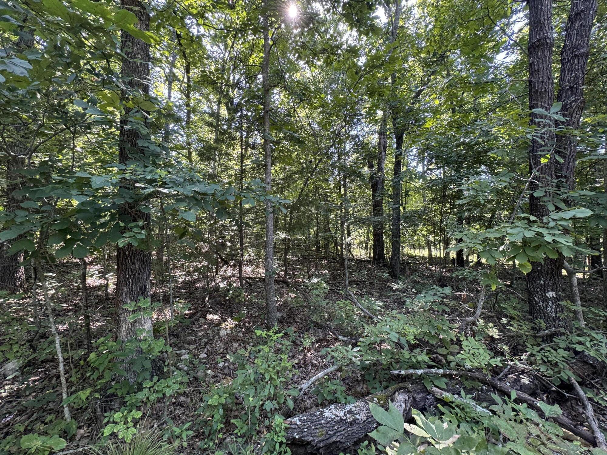 000 County Road 7550