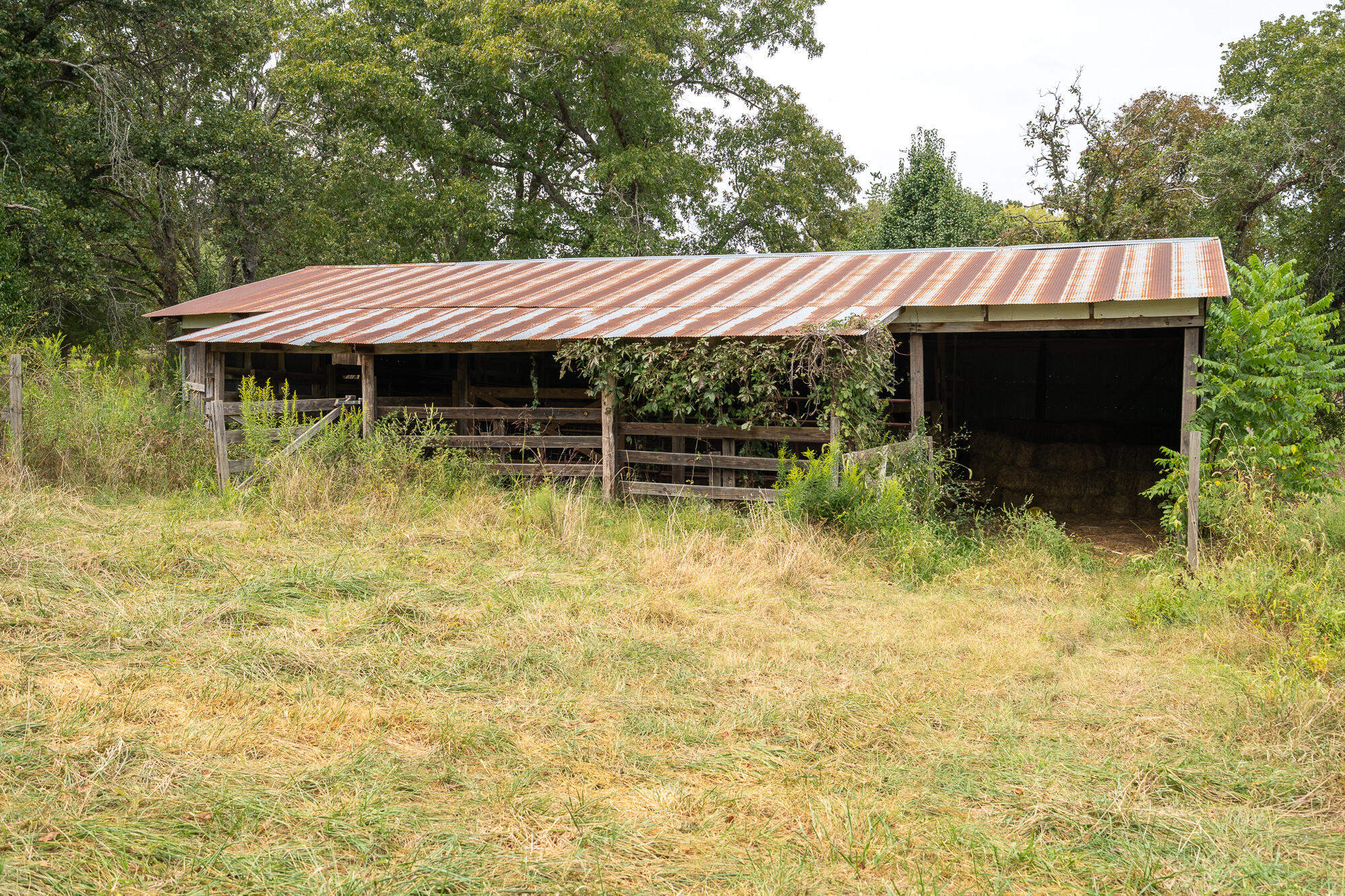 4444 County Road 2420
