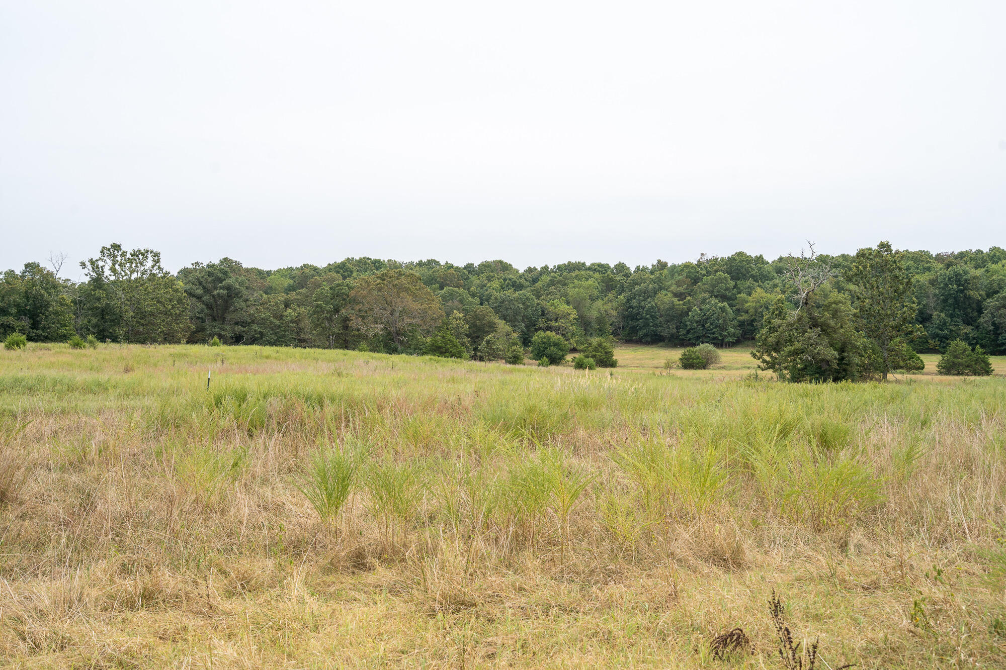 4444 County Road 2420