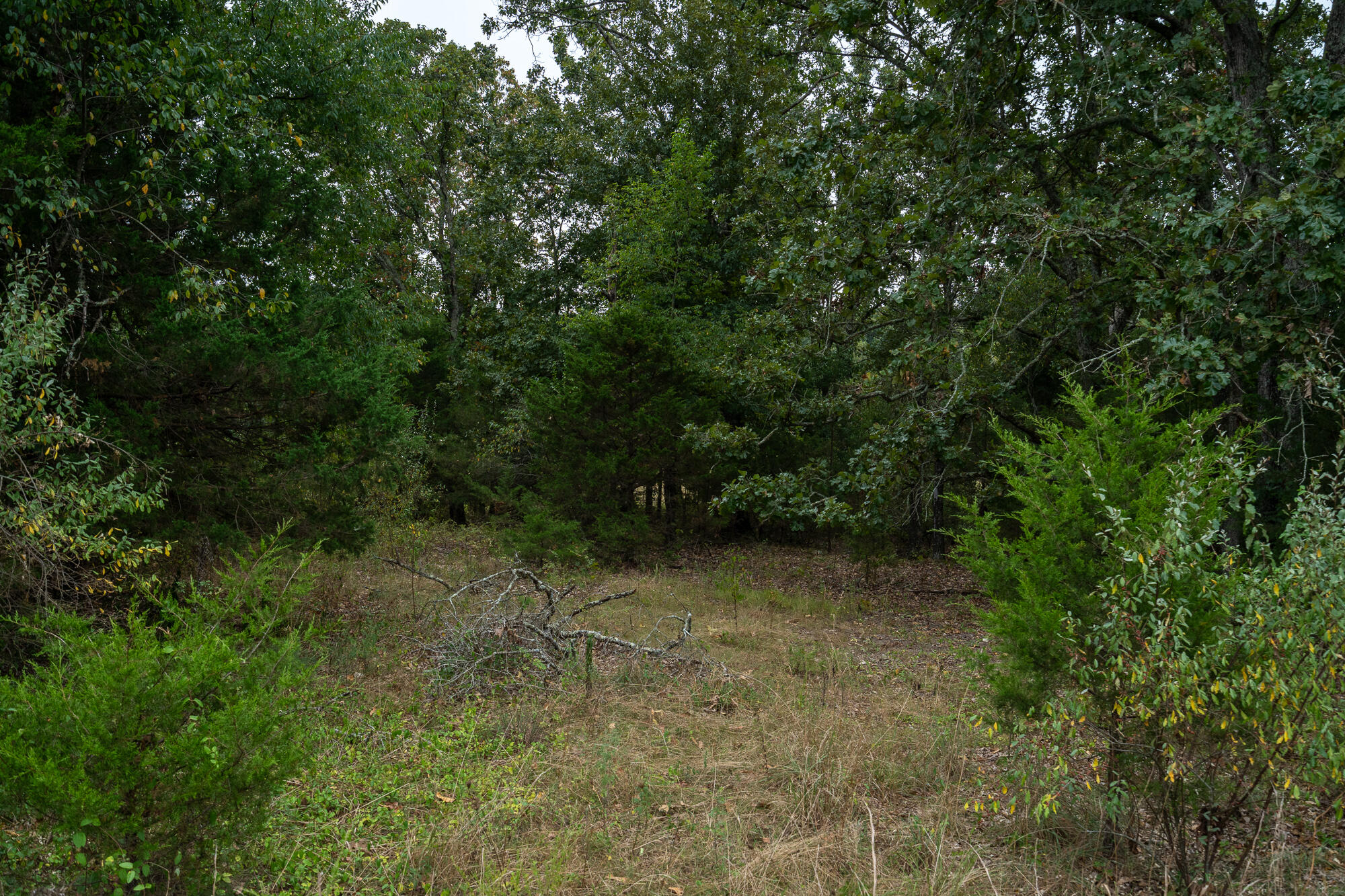 4444 County Road 2420