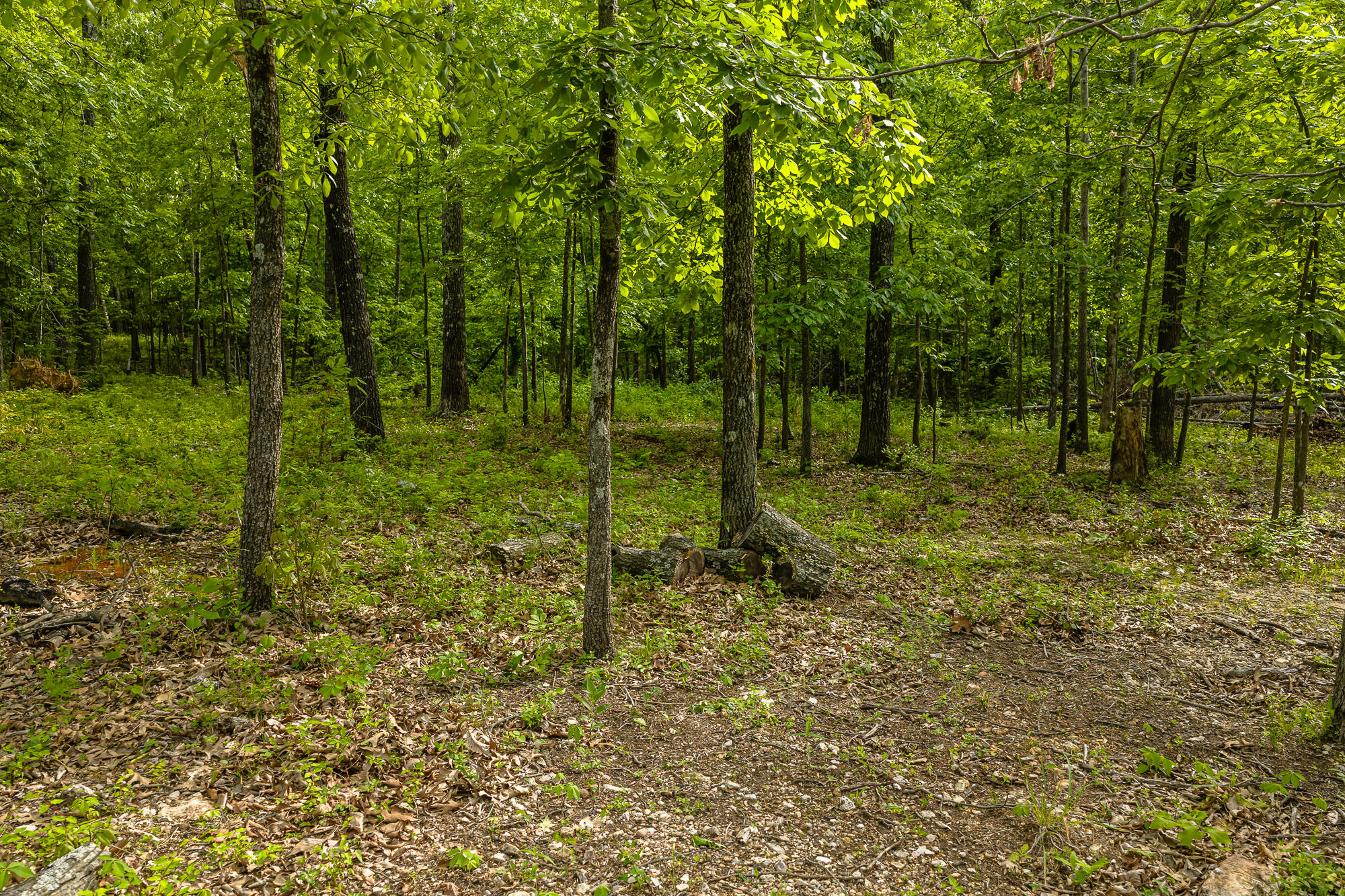 2291 Co Rd 2010