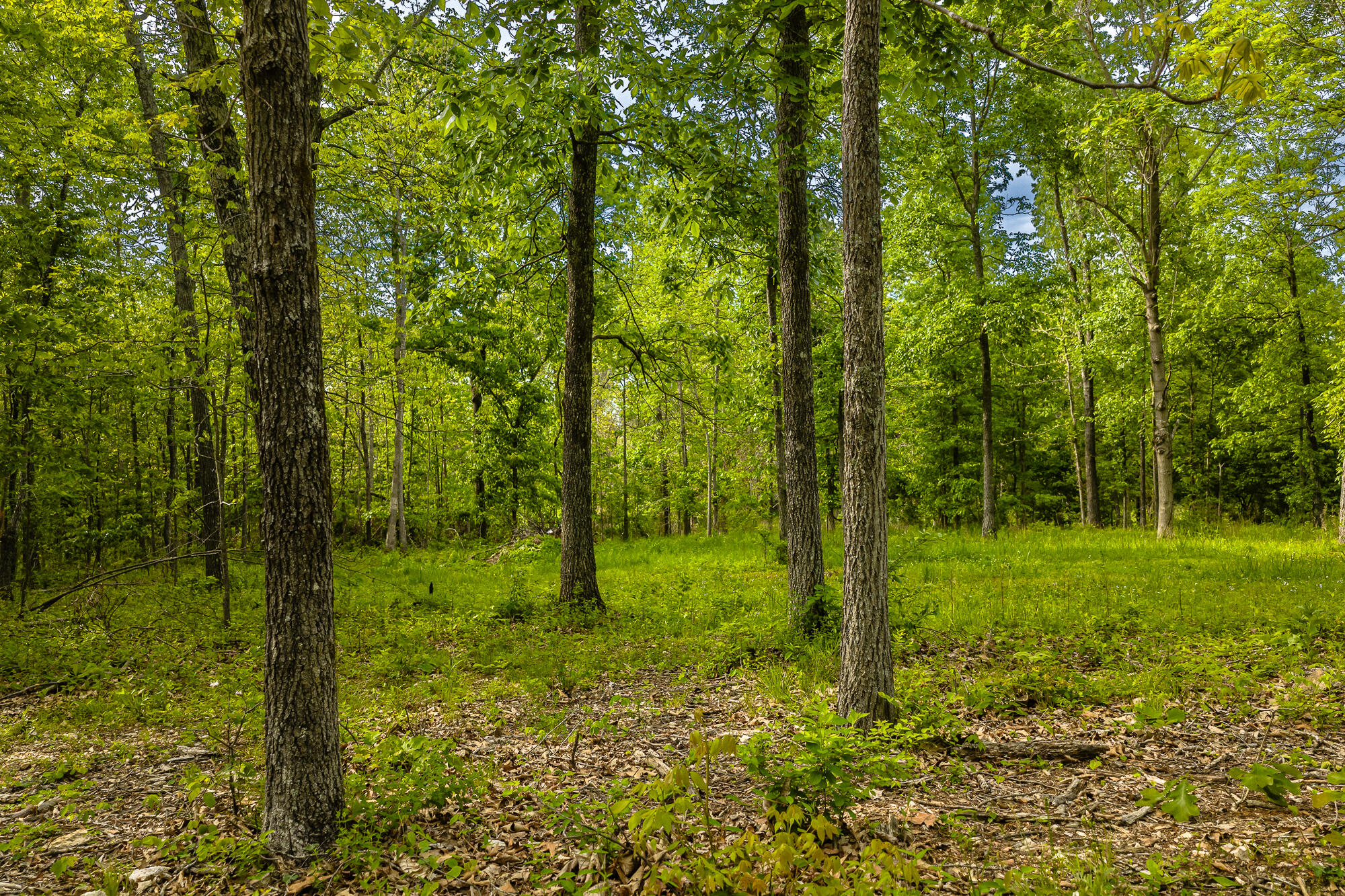 2291 Co Rd 2010