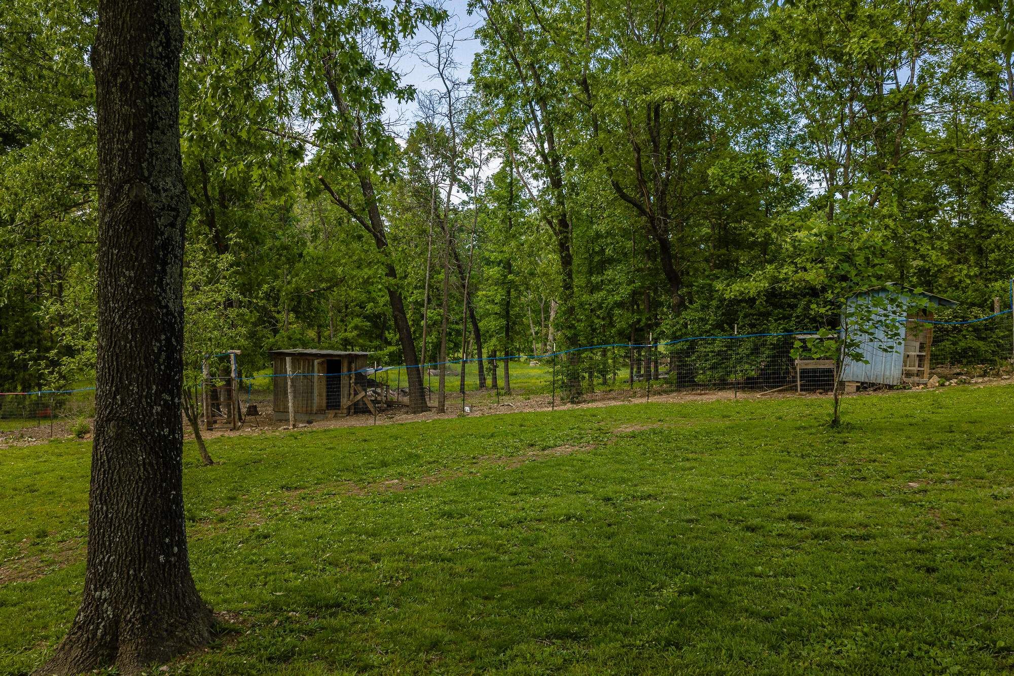 2291 Co Rd 2010