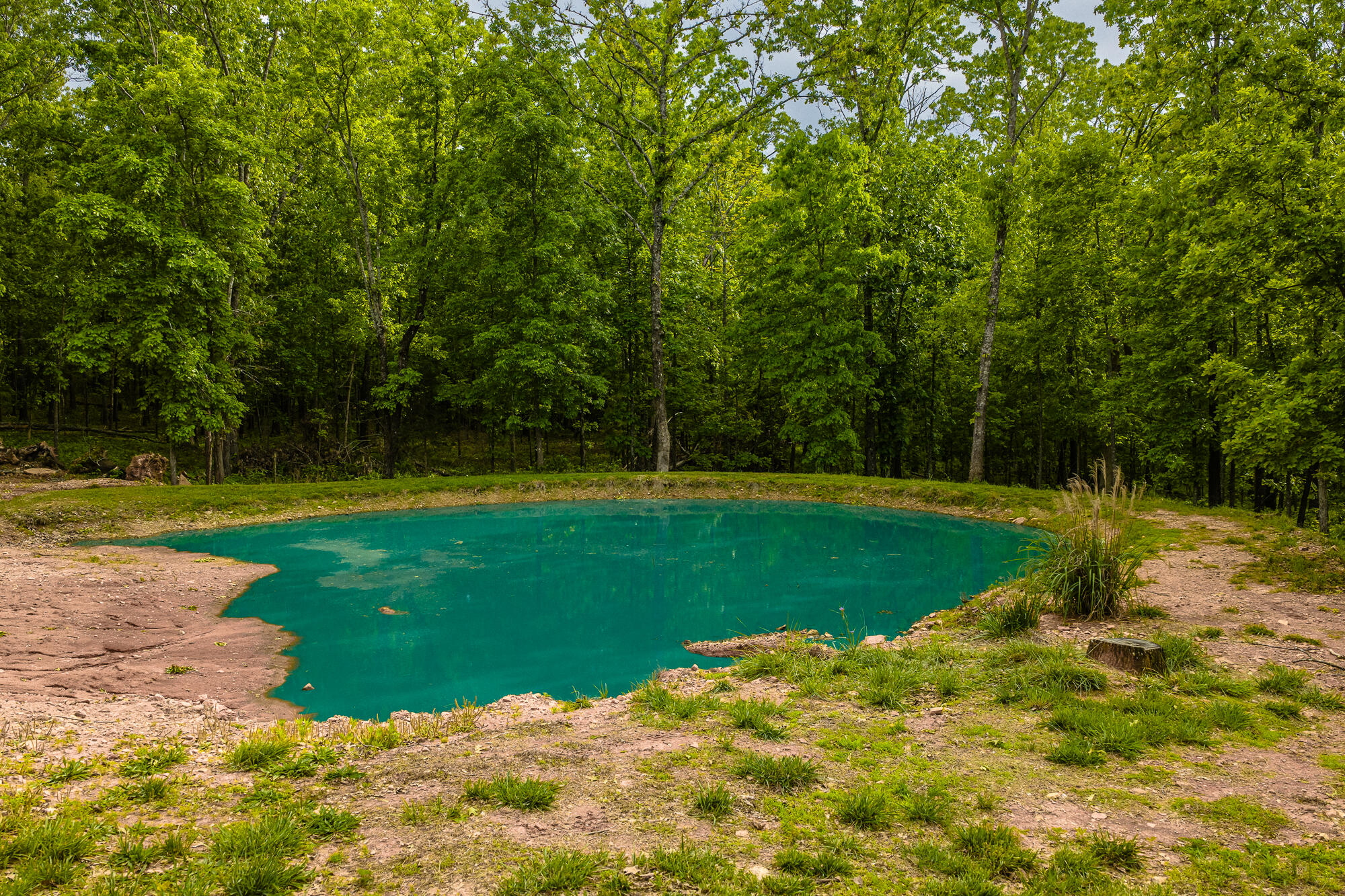2291 Co Rd 2010