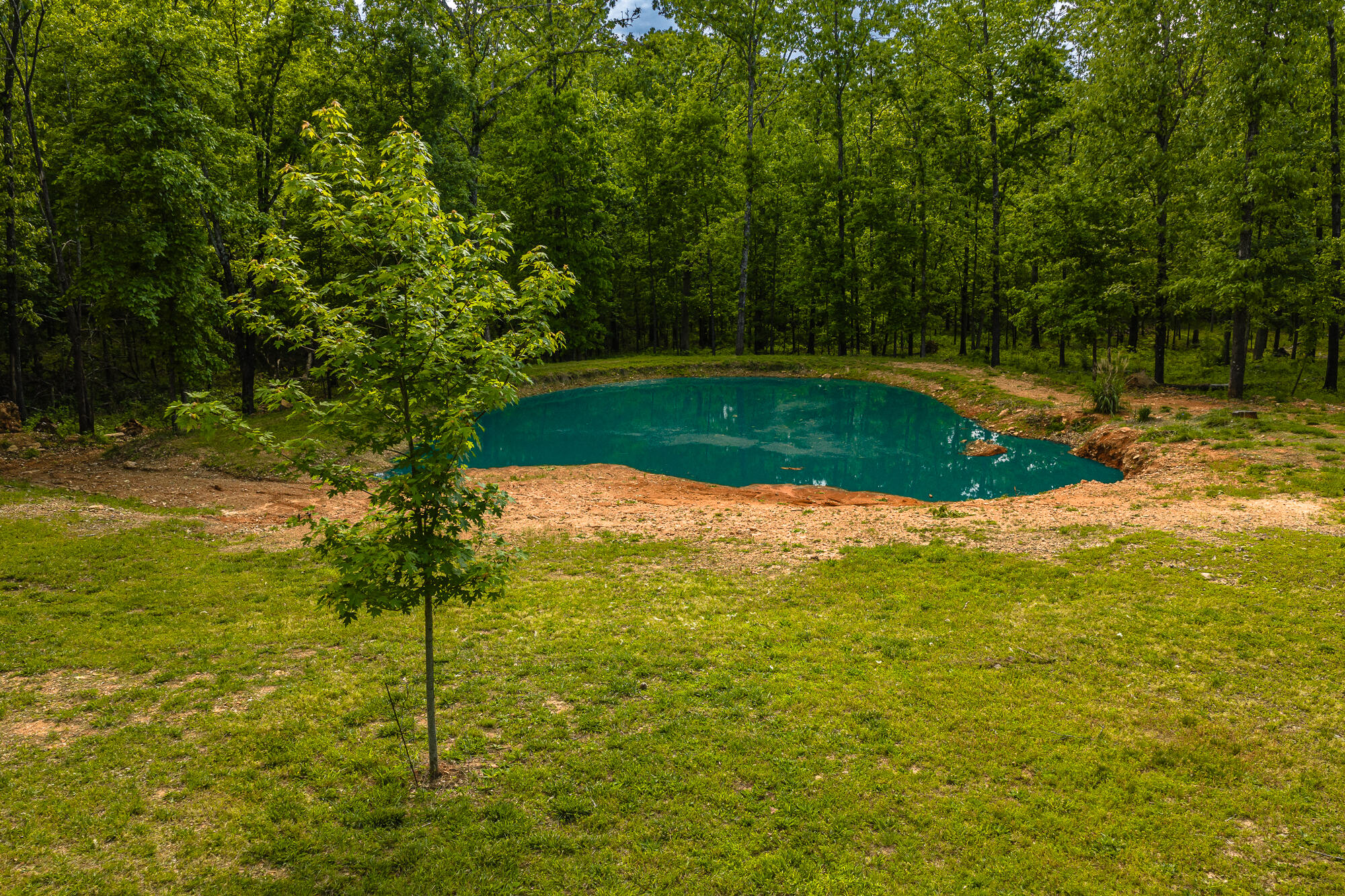 2291 Co Rd 2010