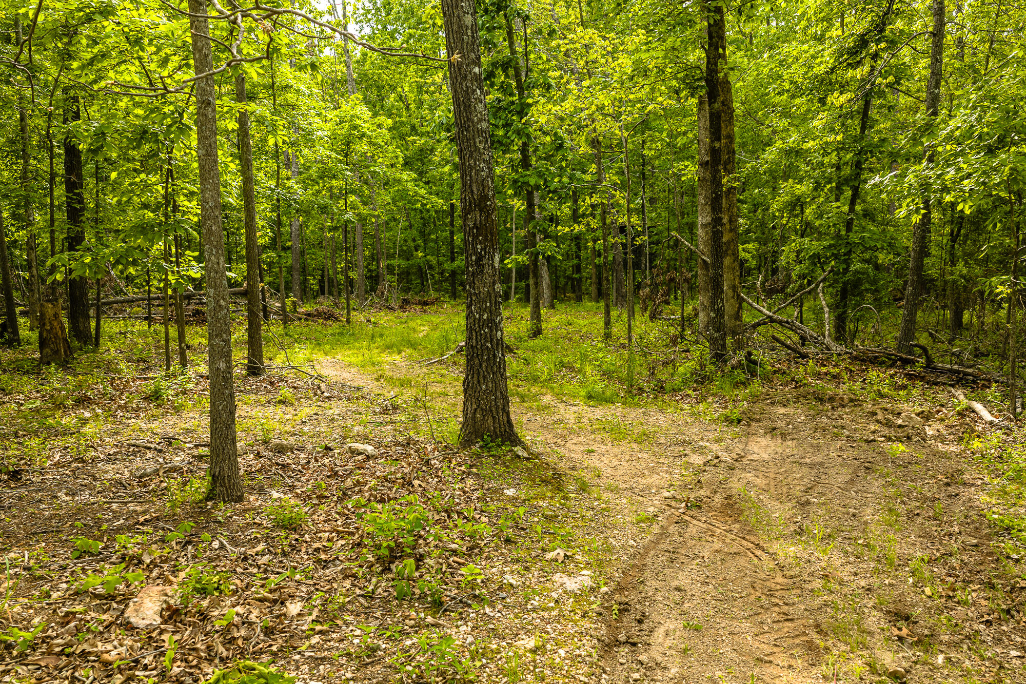 2291 Co Rd 2010