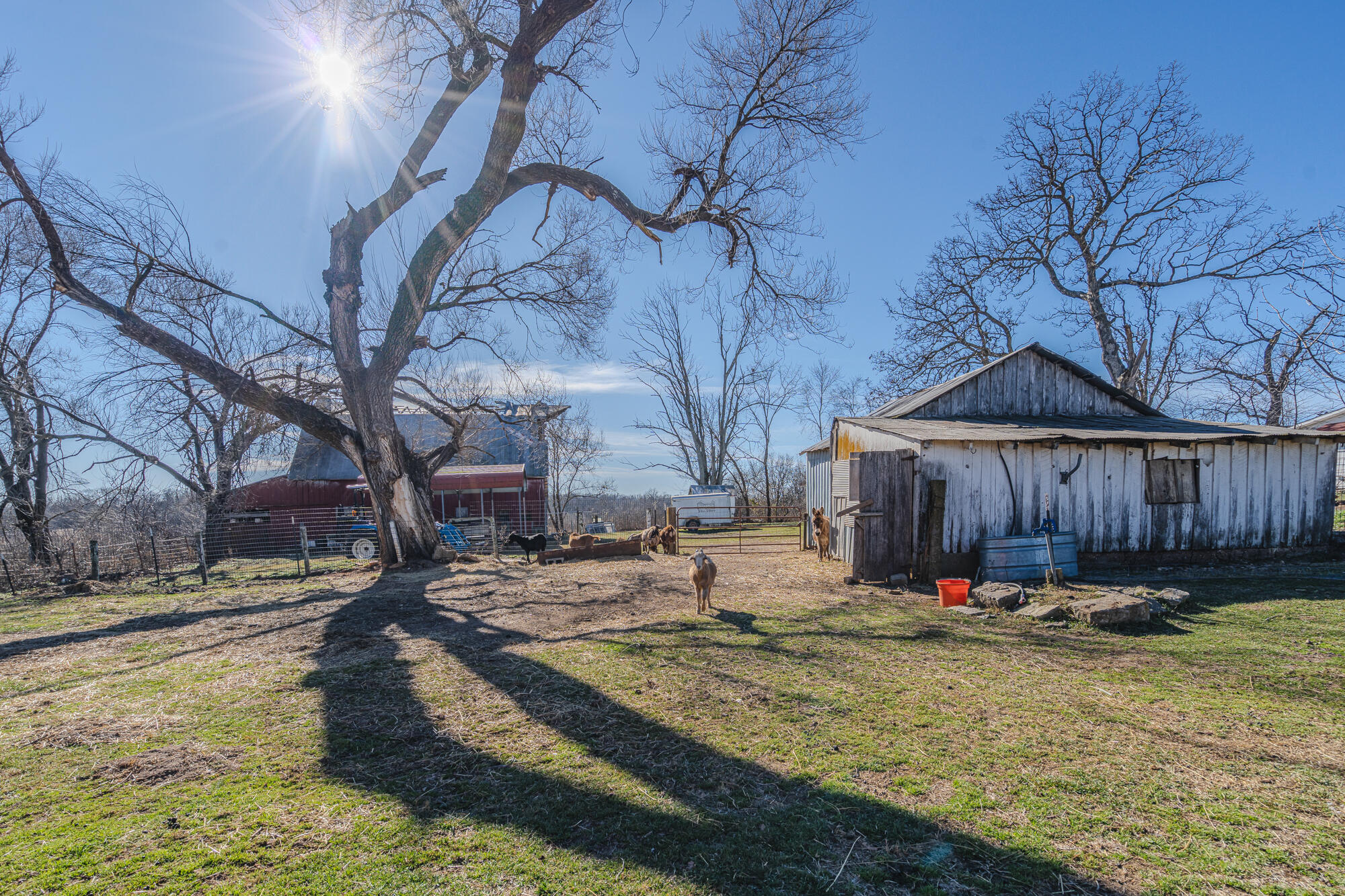 9624 County Road 8890