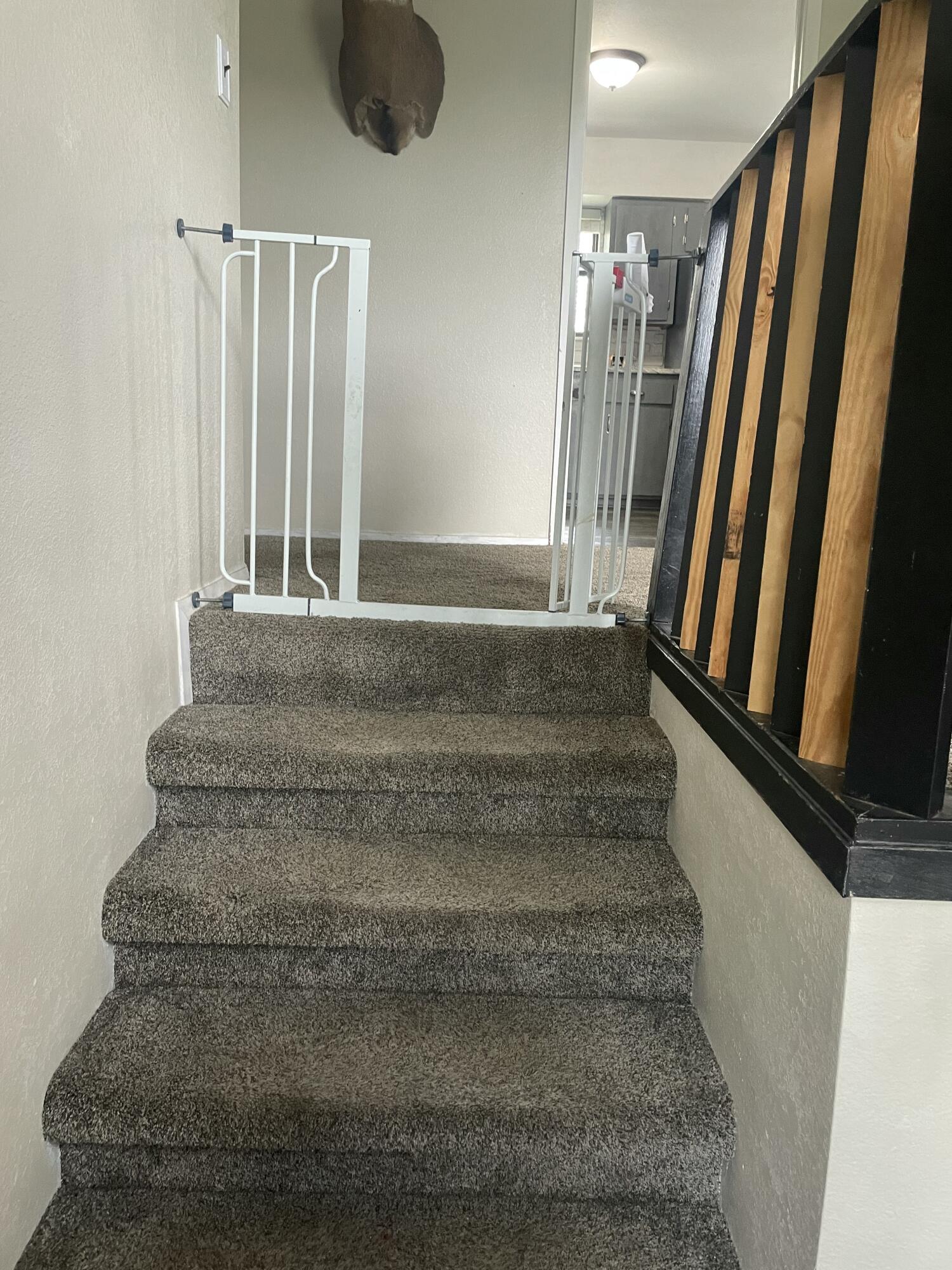 8395 County Road 8970