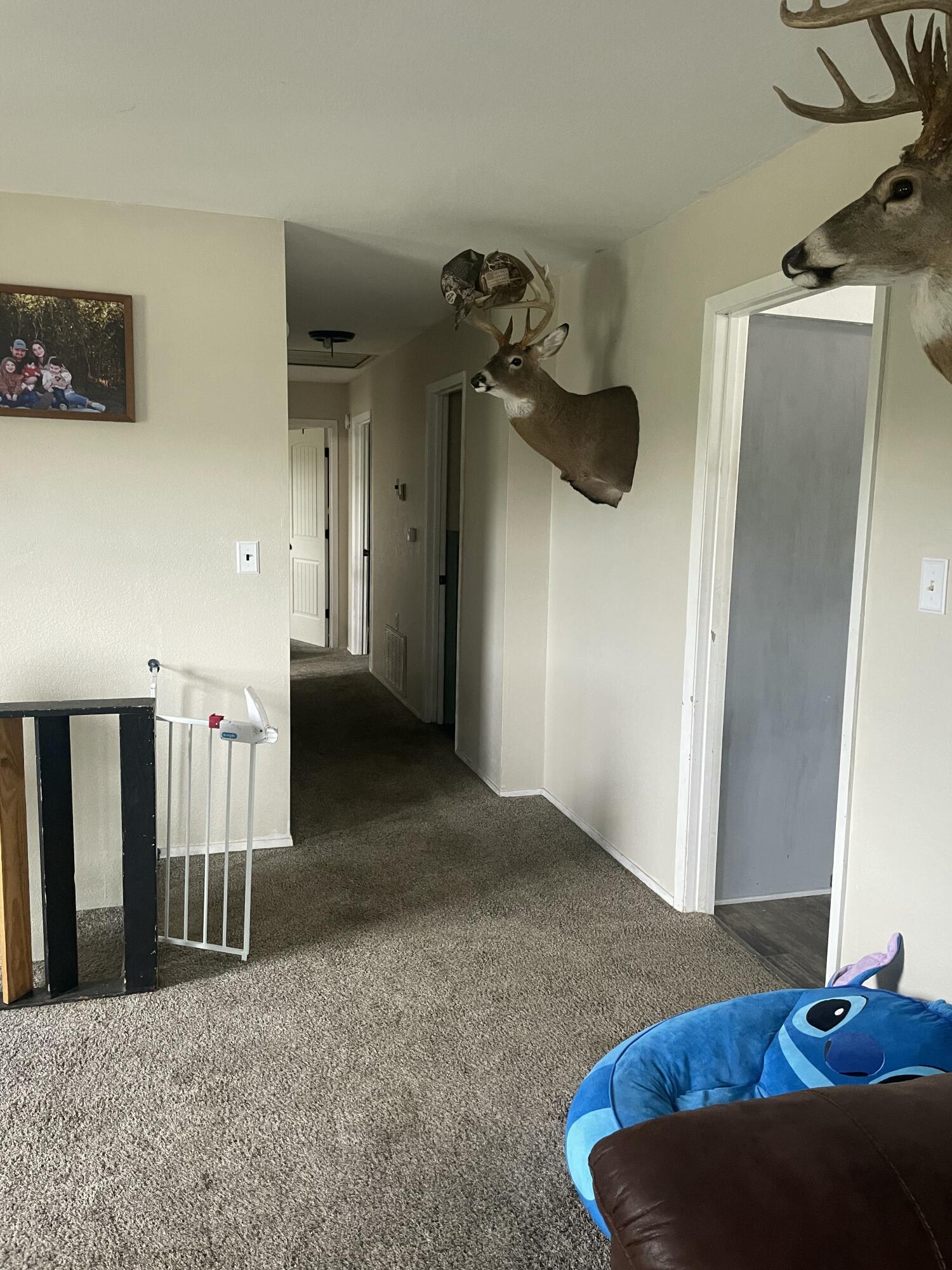 8395 County Road 8970