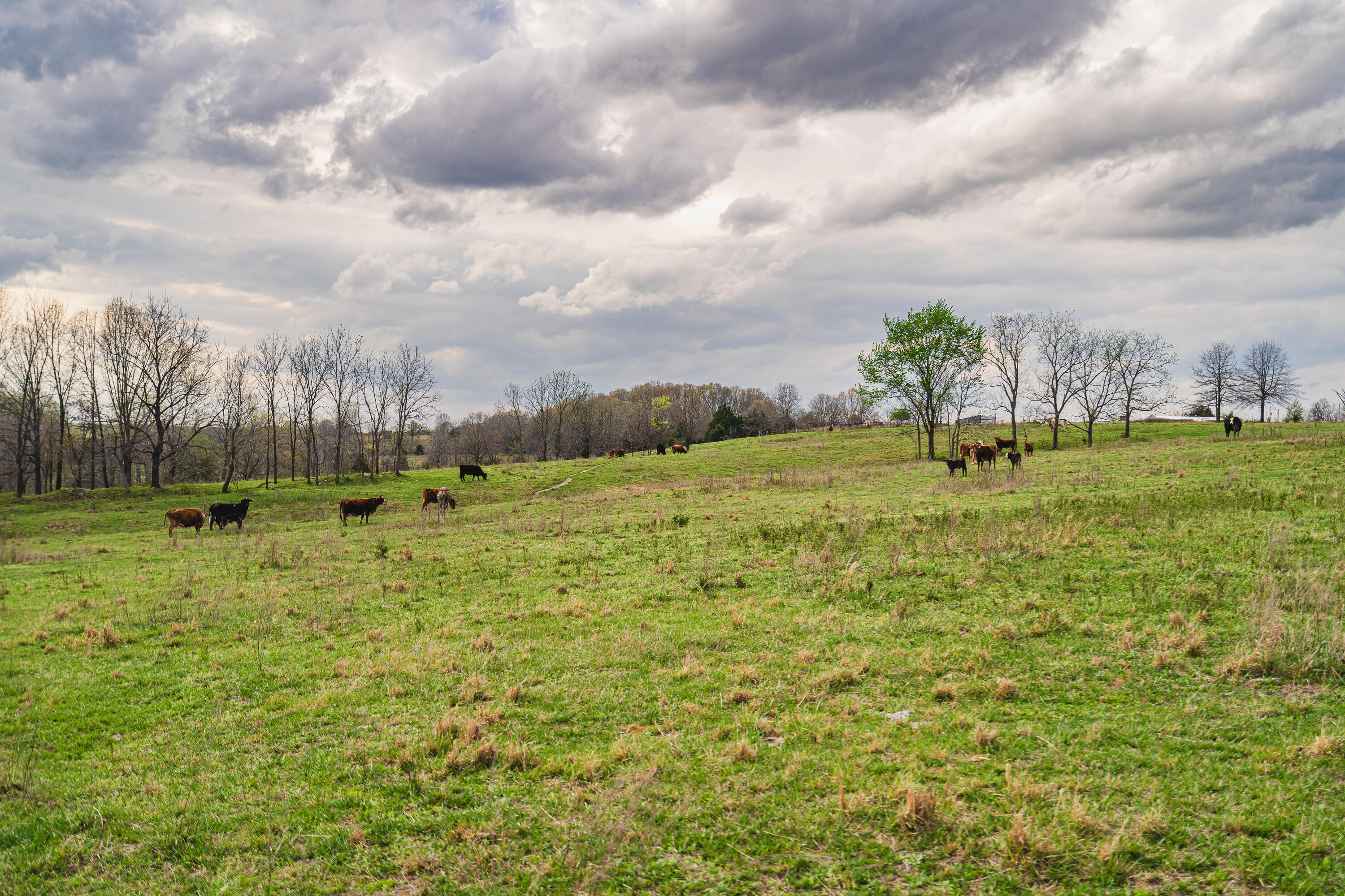13500 County Road 6950
