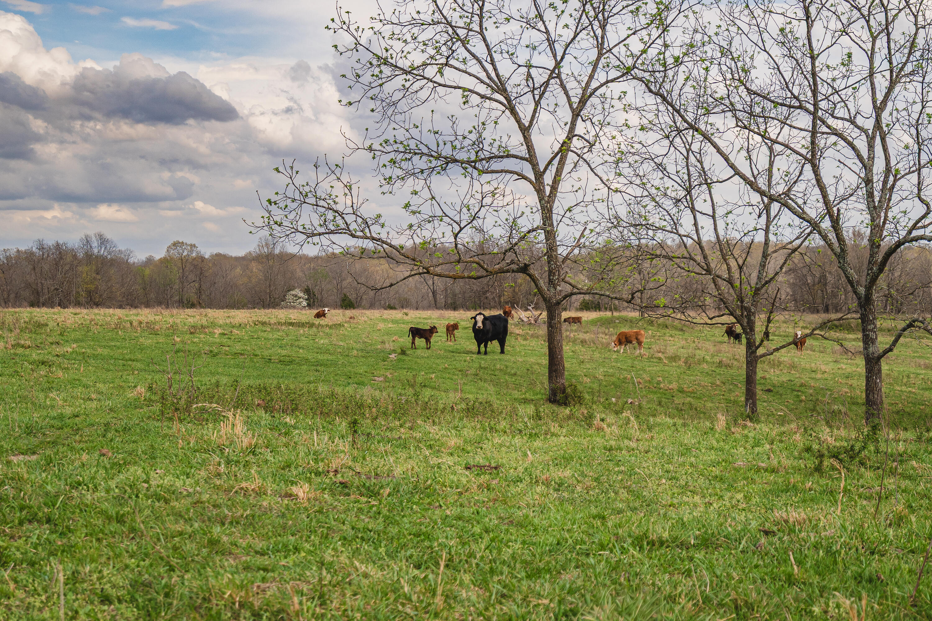13500 County Road 6950
