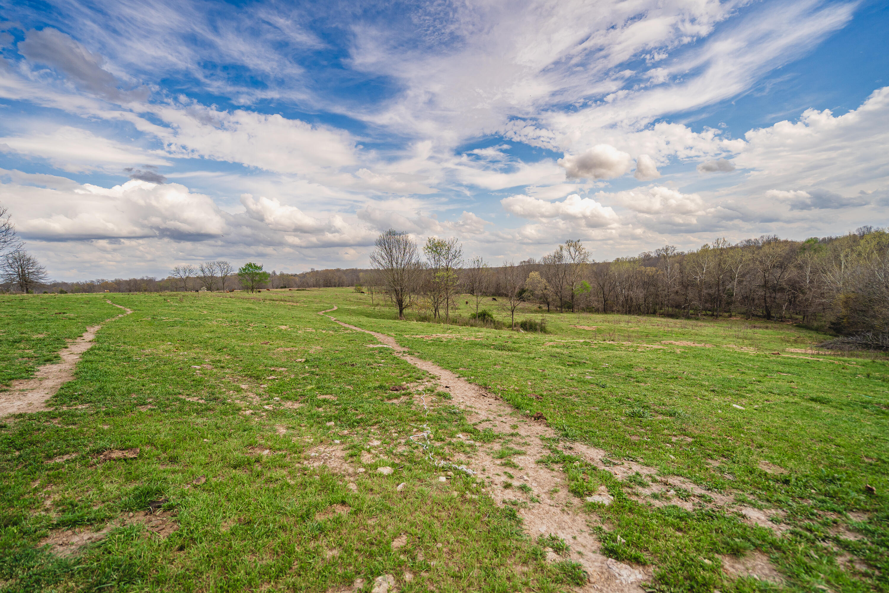 13500 County Road 6950