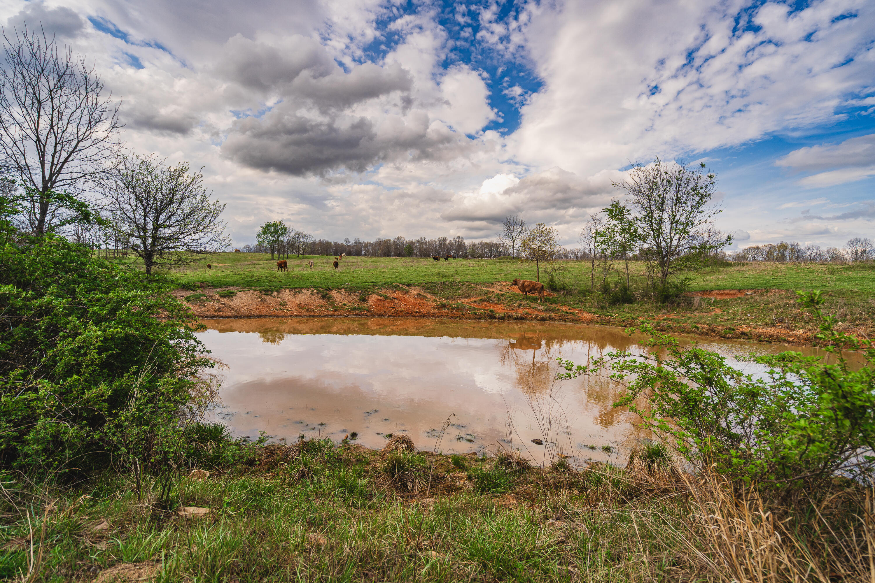 13500 County Road 6950