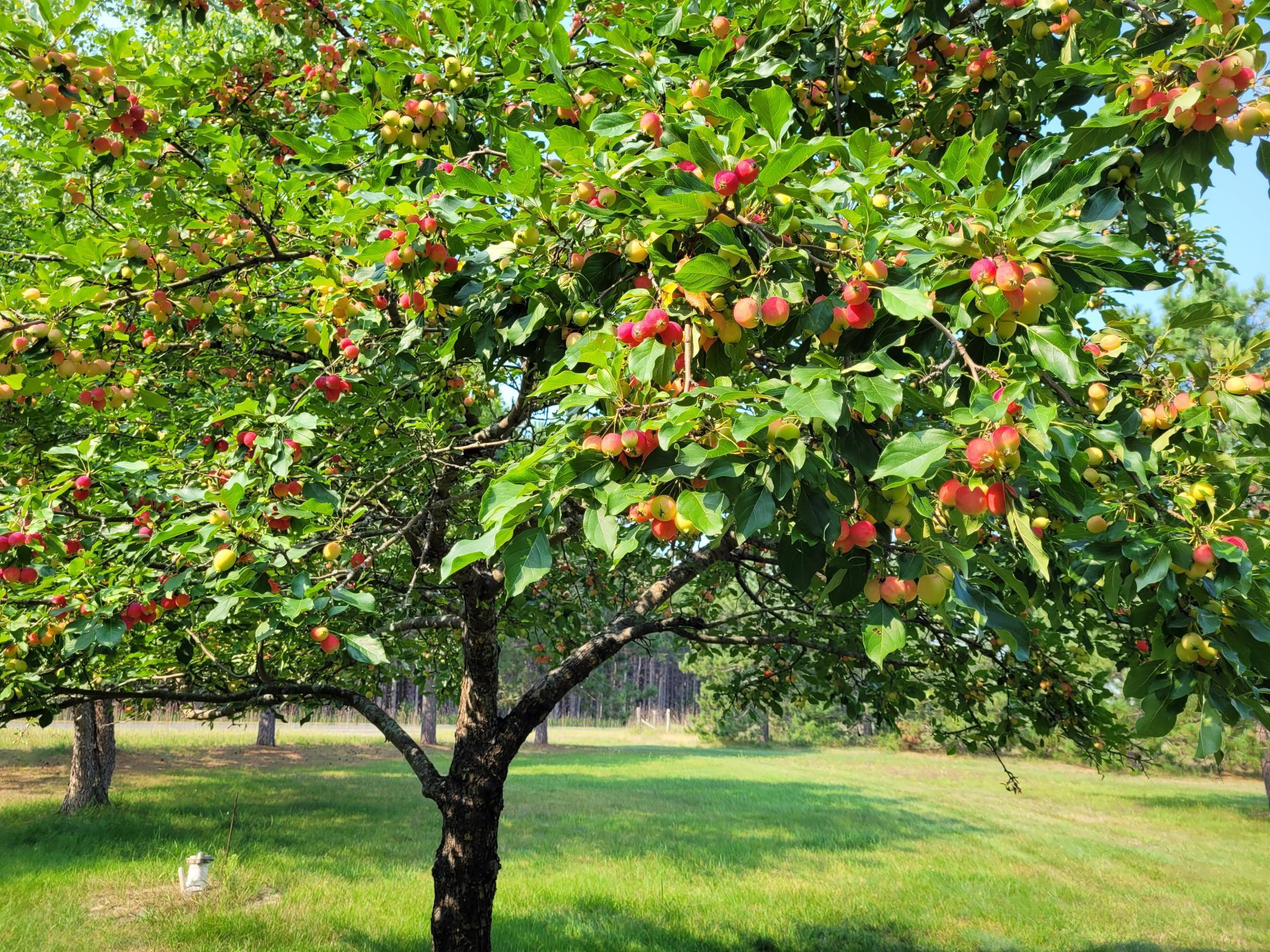 4119 Grant Valley Road NW