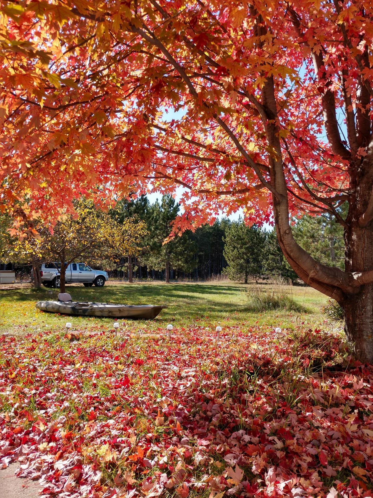 4119 Grant Valley Road NW