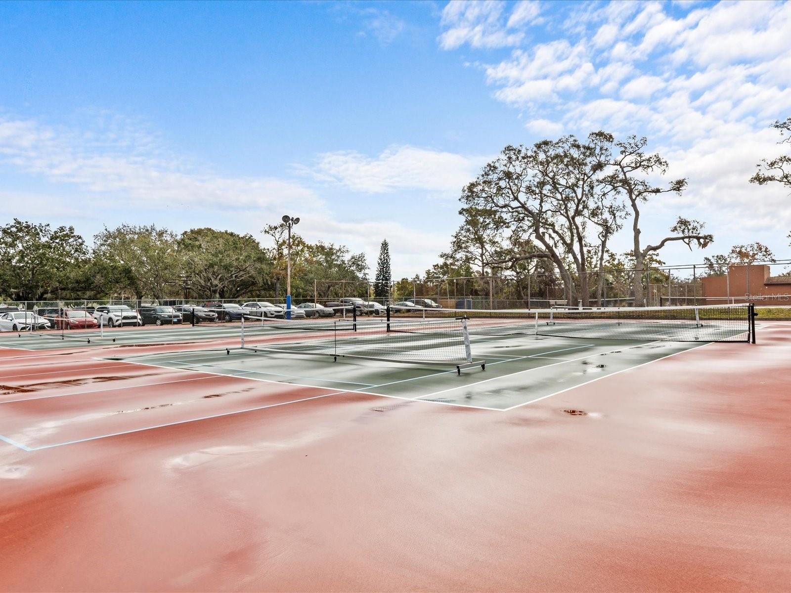 12224 MAGNOLIA GROVE LN