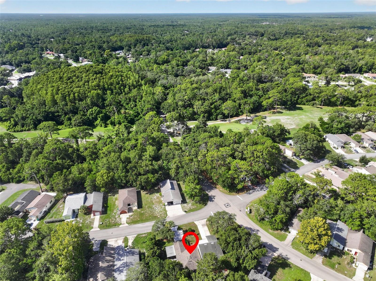 12 CHINABERRY CIR